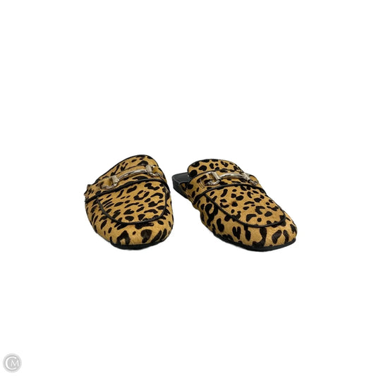 Shoes Flats By Steve Madden In Animal Print, Size: 7.5