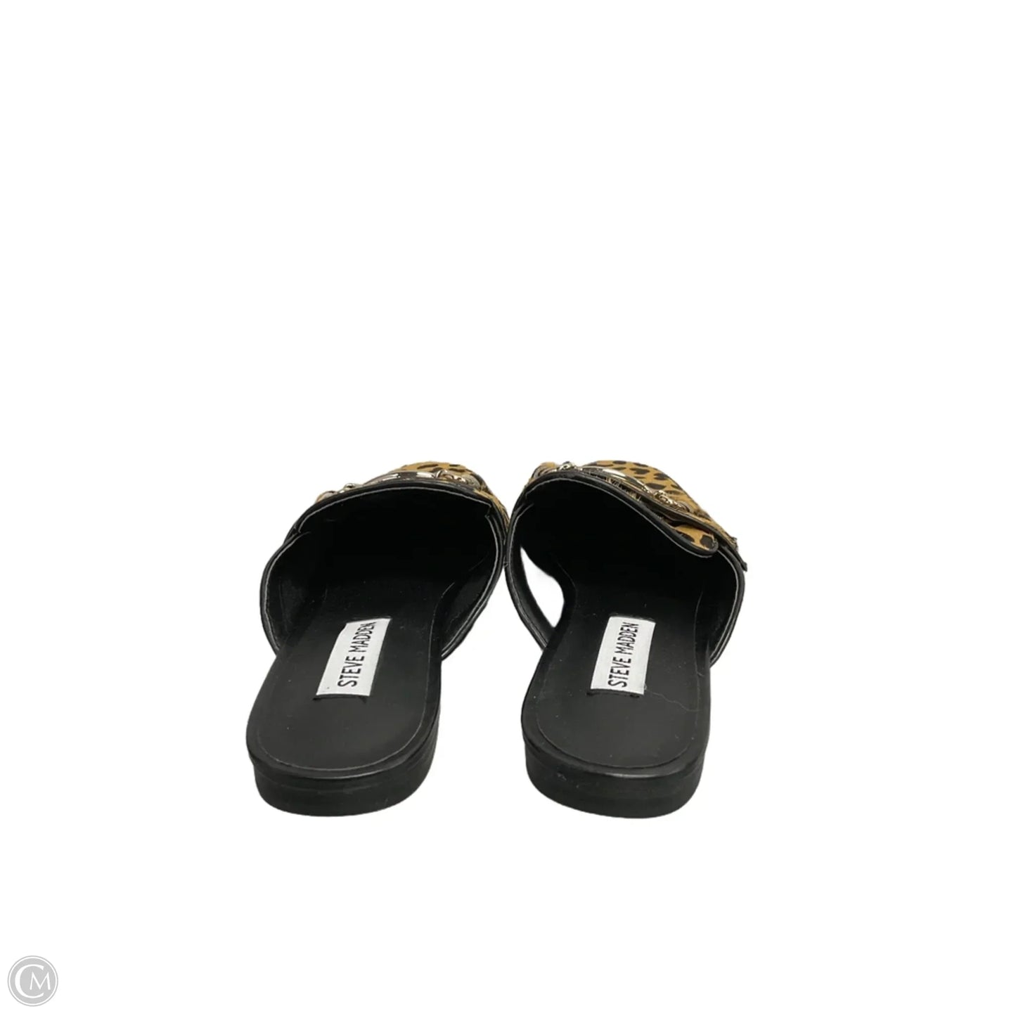Shoes Flats By Steve Madden In Animal Print, Size: 7.5