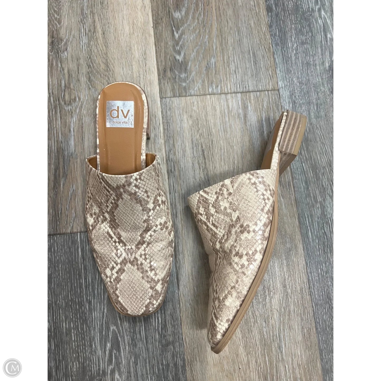 Shoes Flats By Dolce Vita In Snakeskin Print, Size: 8