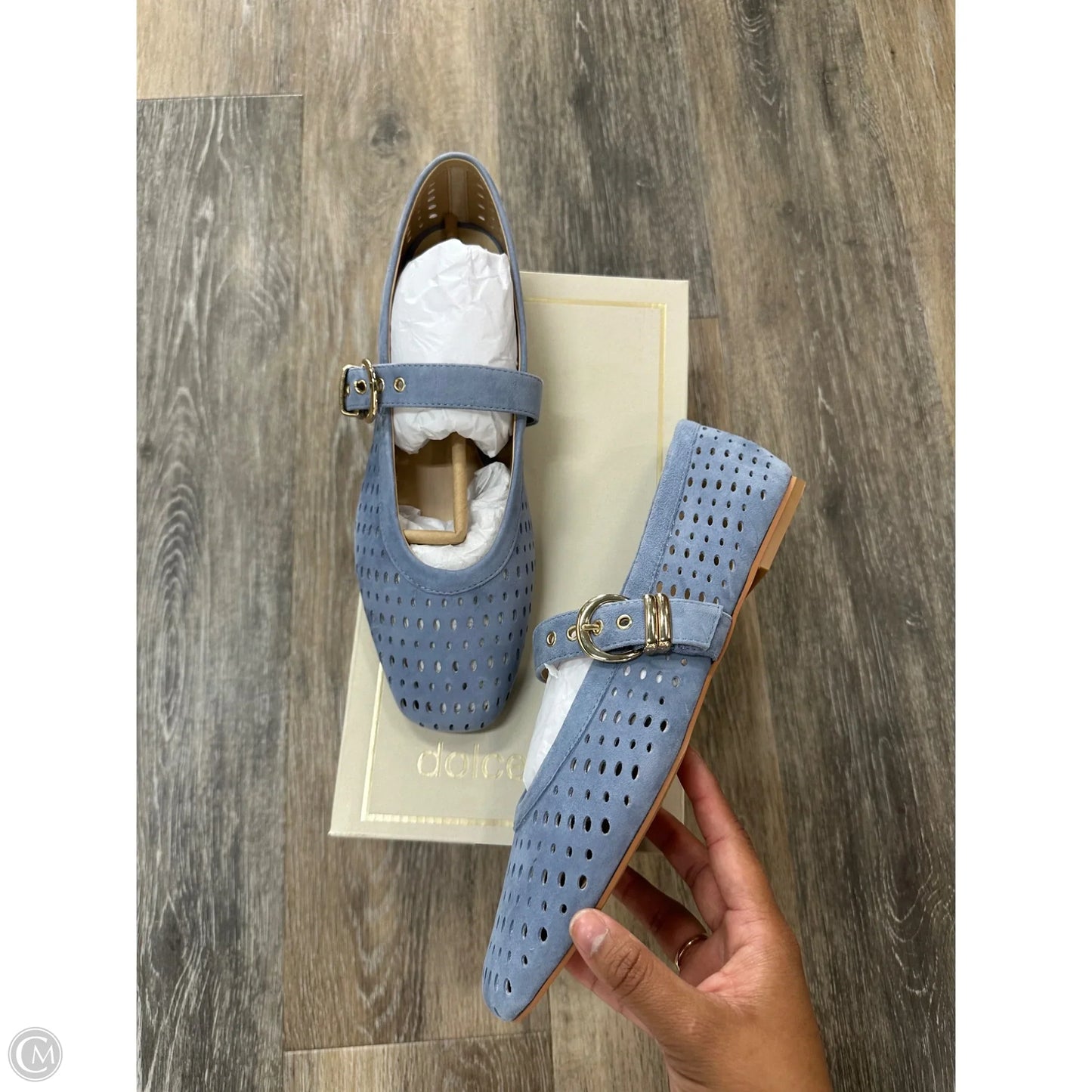 Shoes Flats By Dolce Vita In Purple, Size: 9.5
