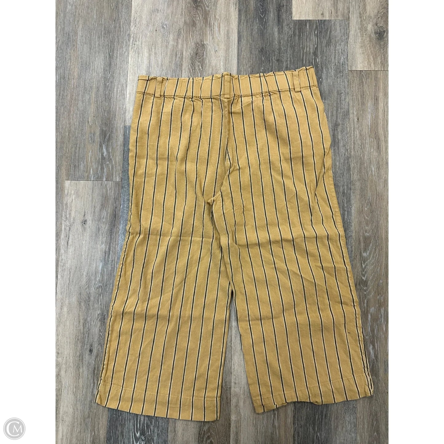 Capris By J. Jill In Yellow, Size: Xl