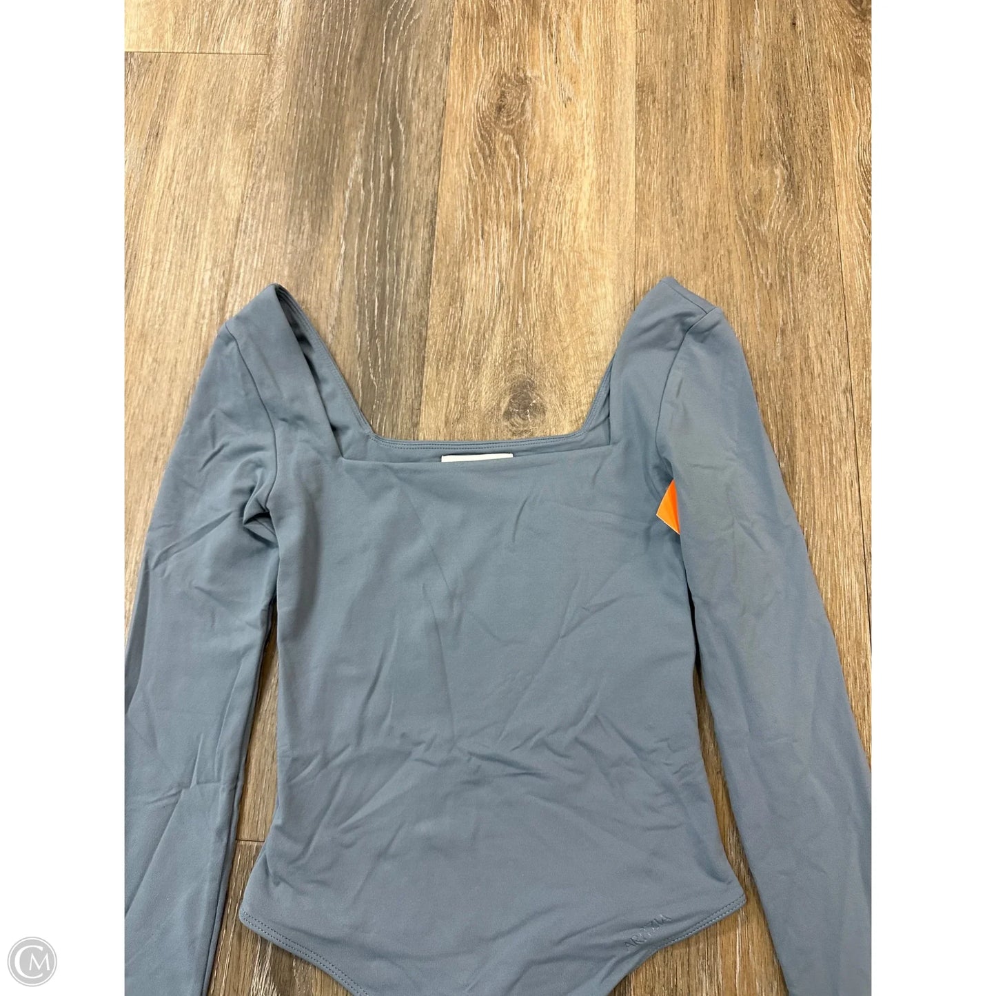 Bodysuit By Aritzia In Blue, Size: Xs