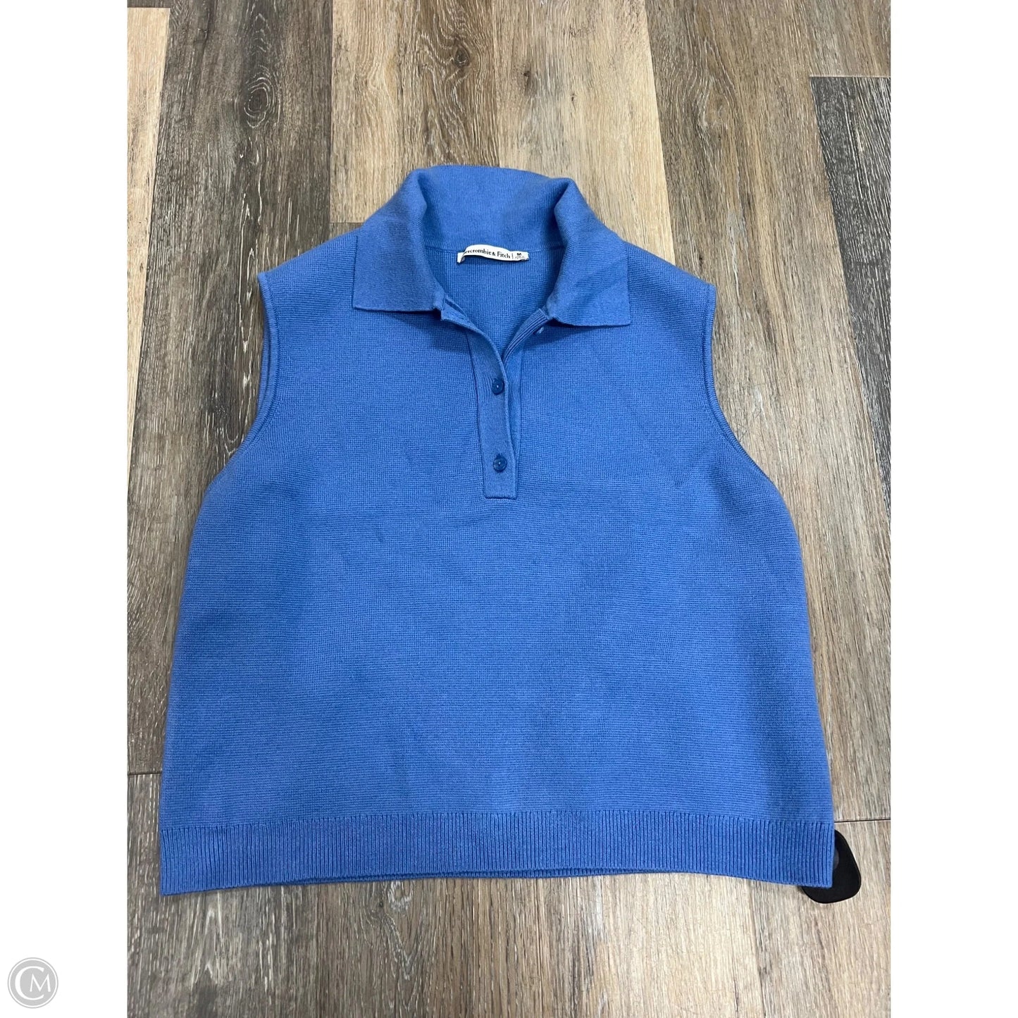 Sweater Short Sleeve By Abercrombie And Fitch In Blue, Size: M