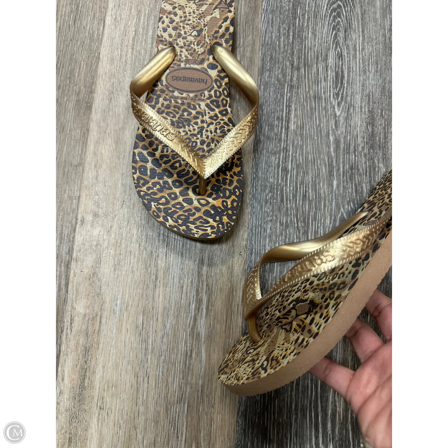 Sandals Flip Flops By Havaianas In Animal Print, Size: 7/8