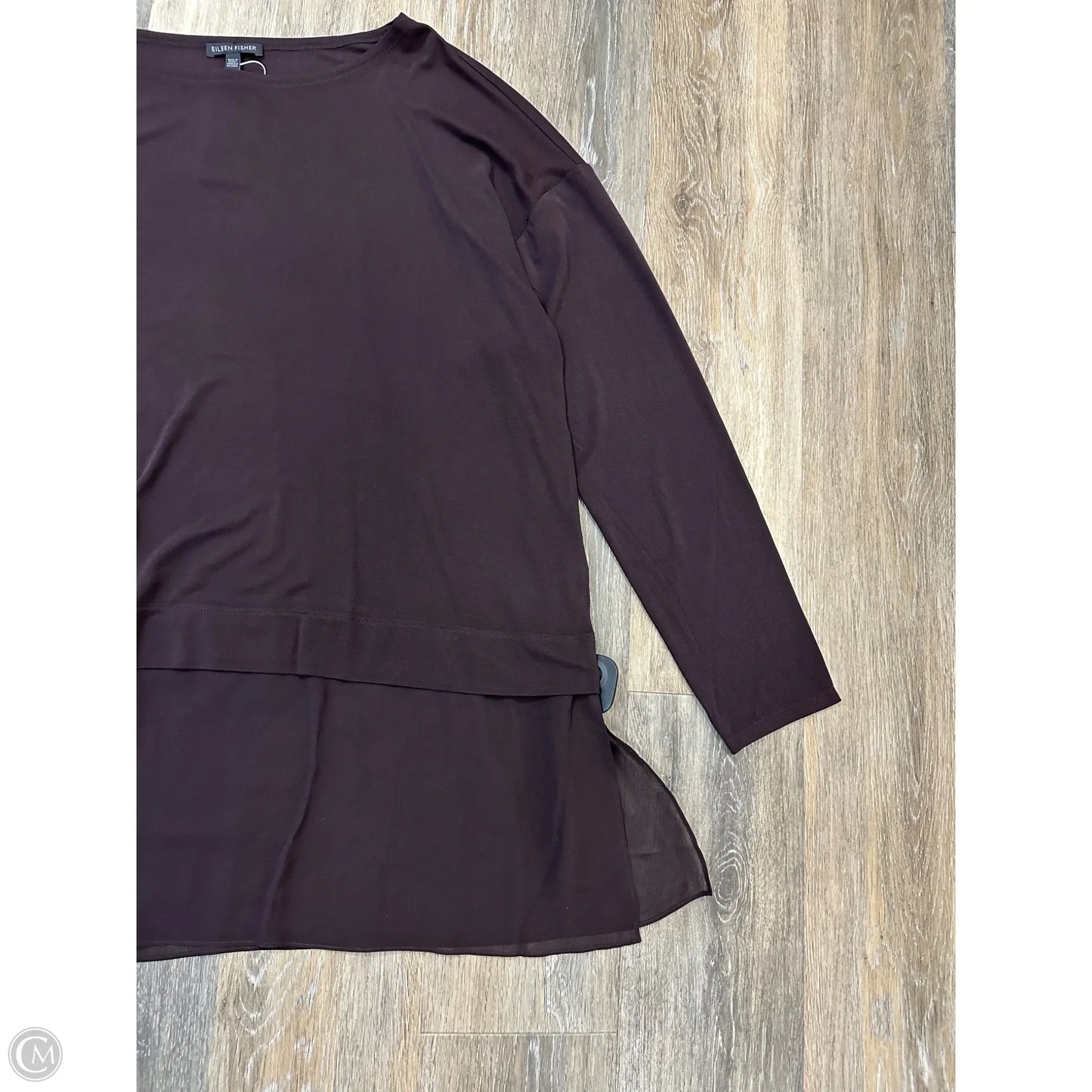 Blouse Long Sleeve By Eileen Fisher In Brown, Size: Xl