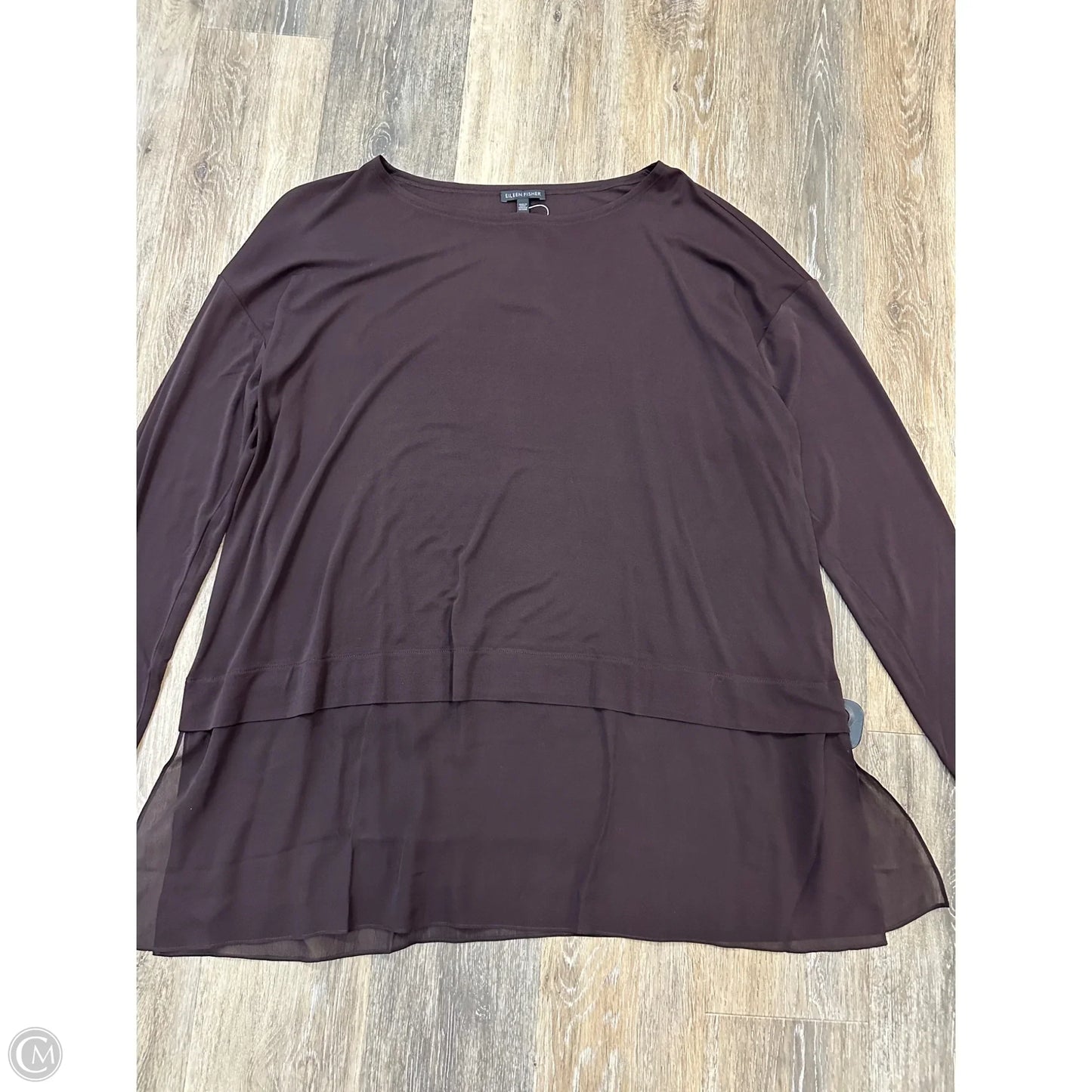 Blouse Long Sleeve By Eileen Fisher In Brown, Size: Xl