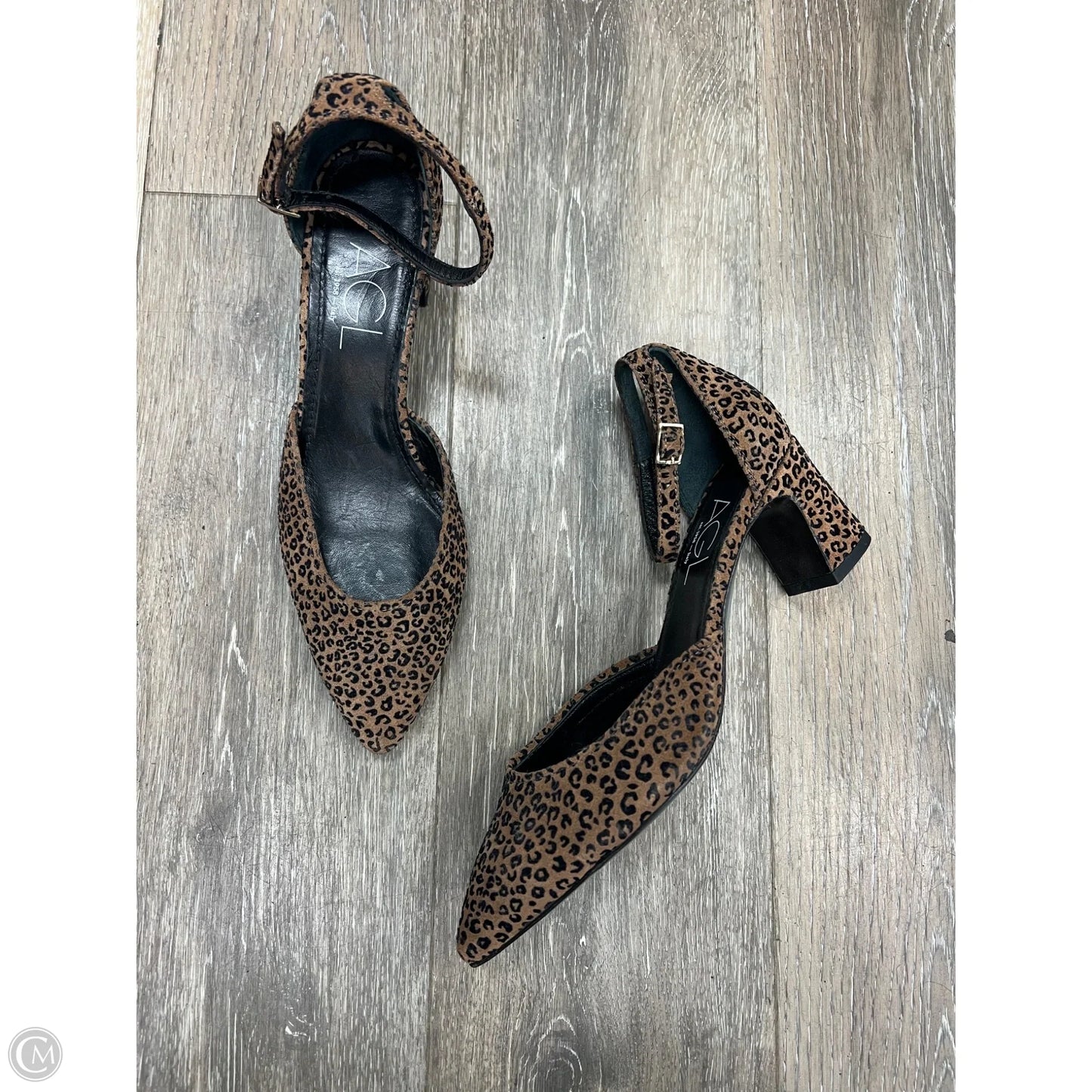 Shoes Heels Block By Agl In Animal Print, Size: 7.5