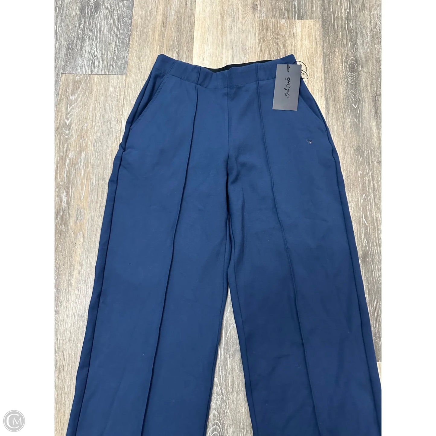 Athletic Pants By Bad Birdie In Blue, Size: S