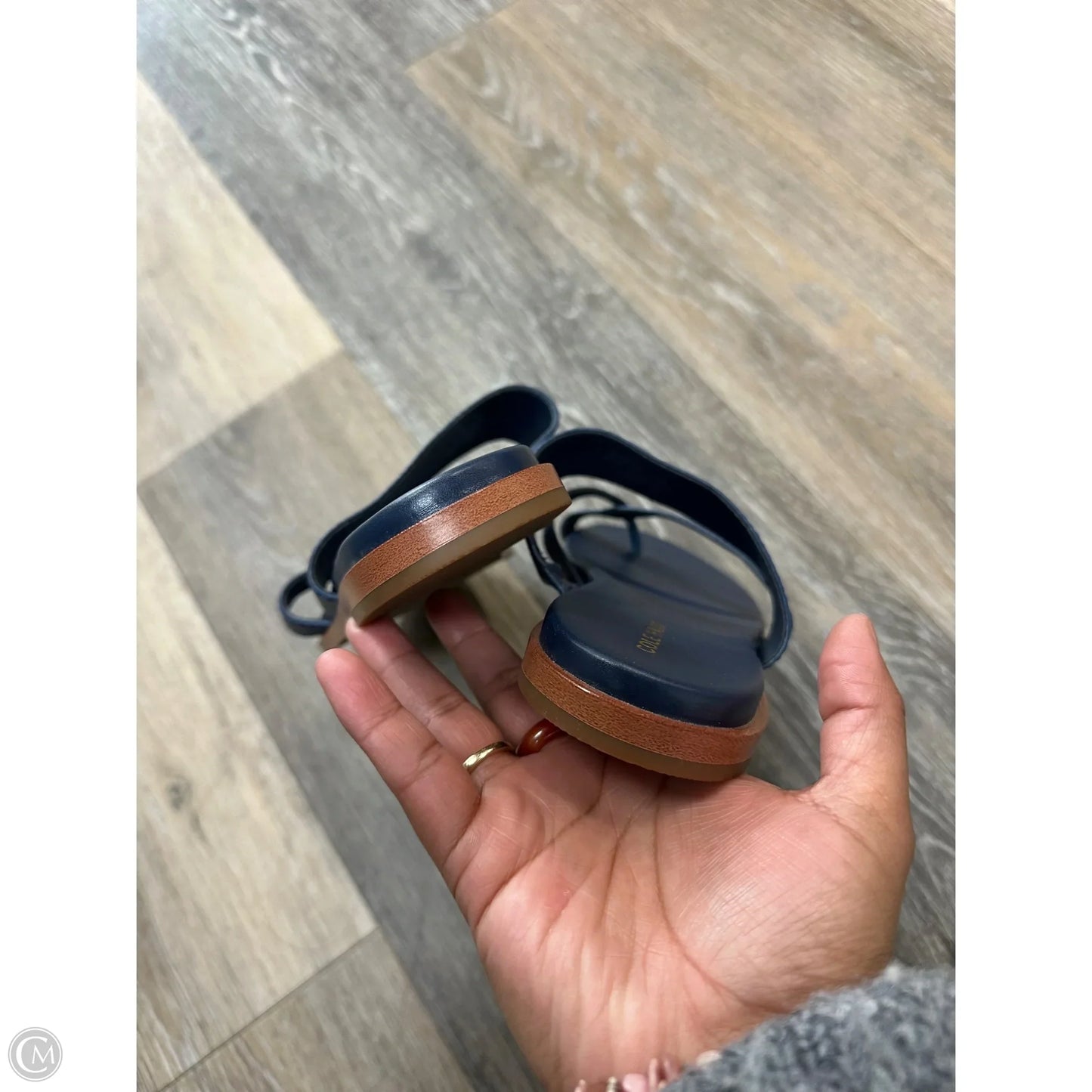 Sandals Flats By Cole-haan In Blue, Size: 7