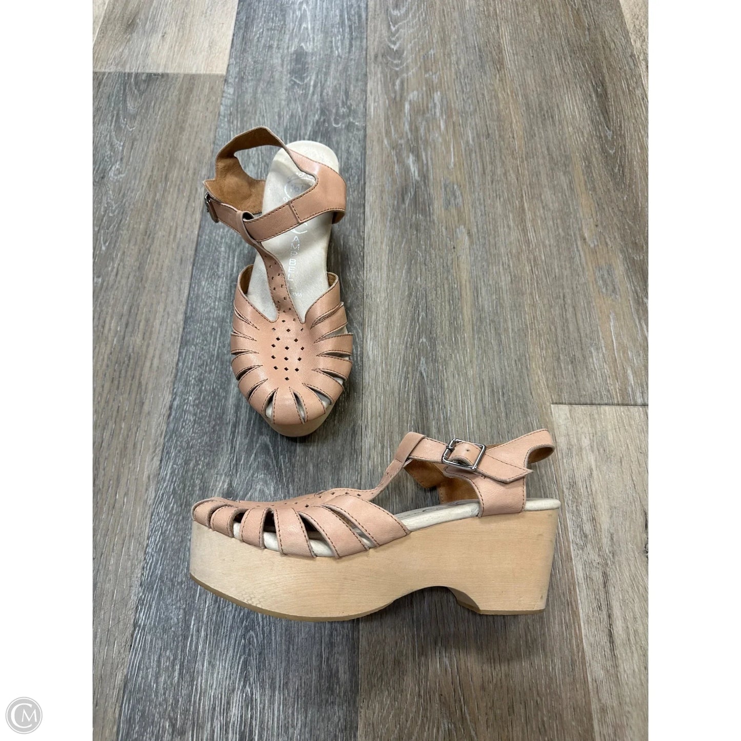 Sandals Heels Wedge By Jeffery Campbell In Tan, Size: 8