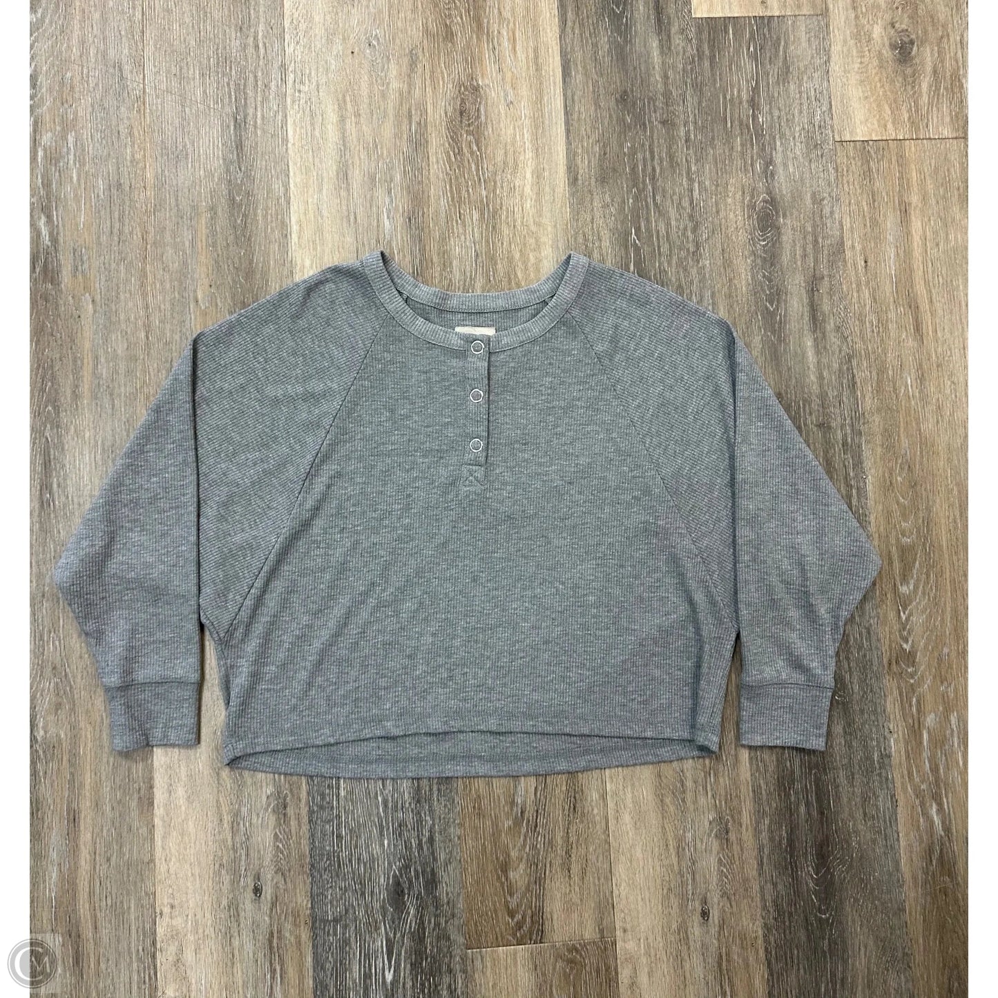 Top Long Sleeve By Chaser In Grey, Size: M