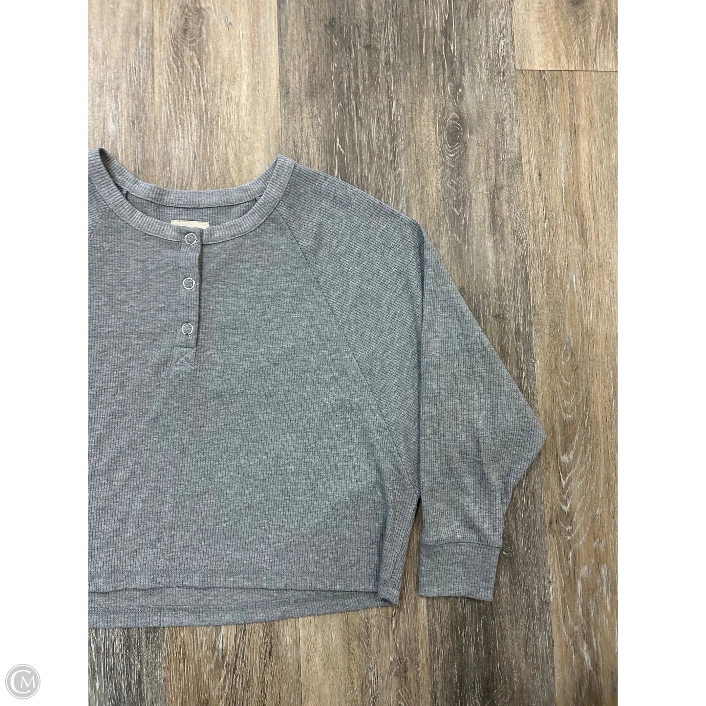 Top Long Sleeve By Chaser In Grey, Size: M