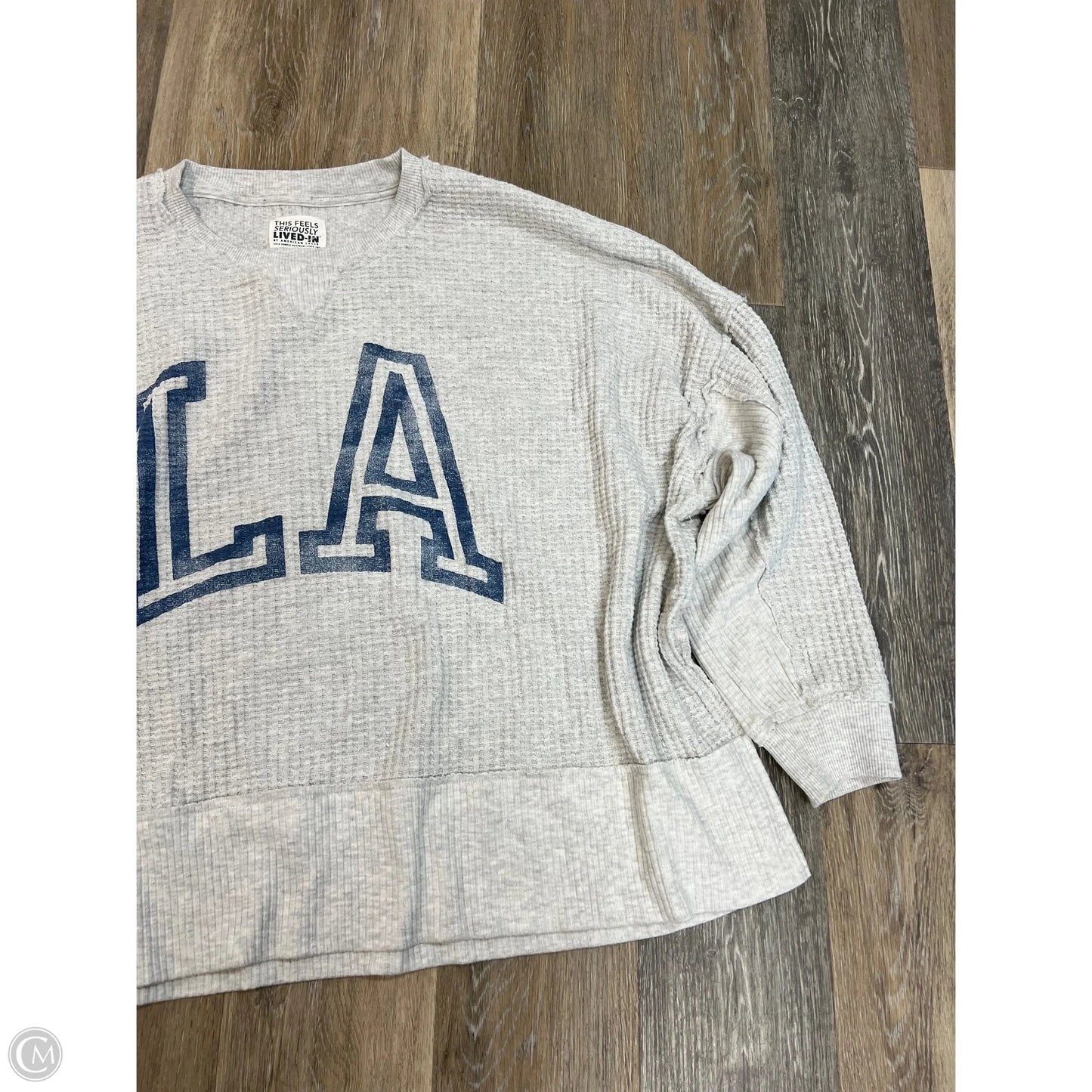 Top Long Sleeve By American Eagle In Grey, Size: L