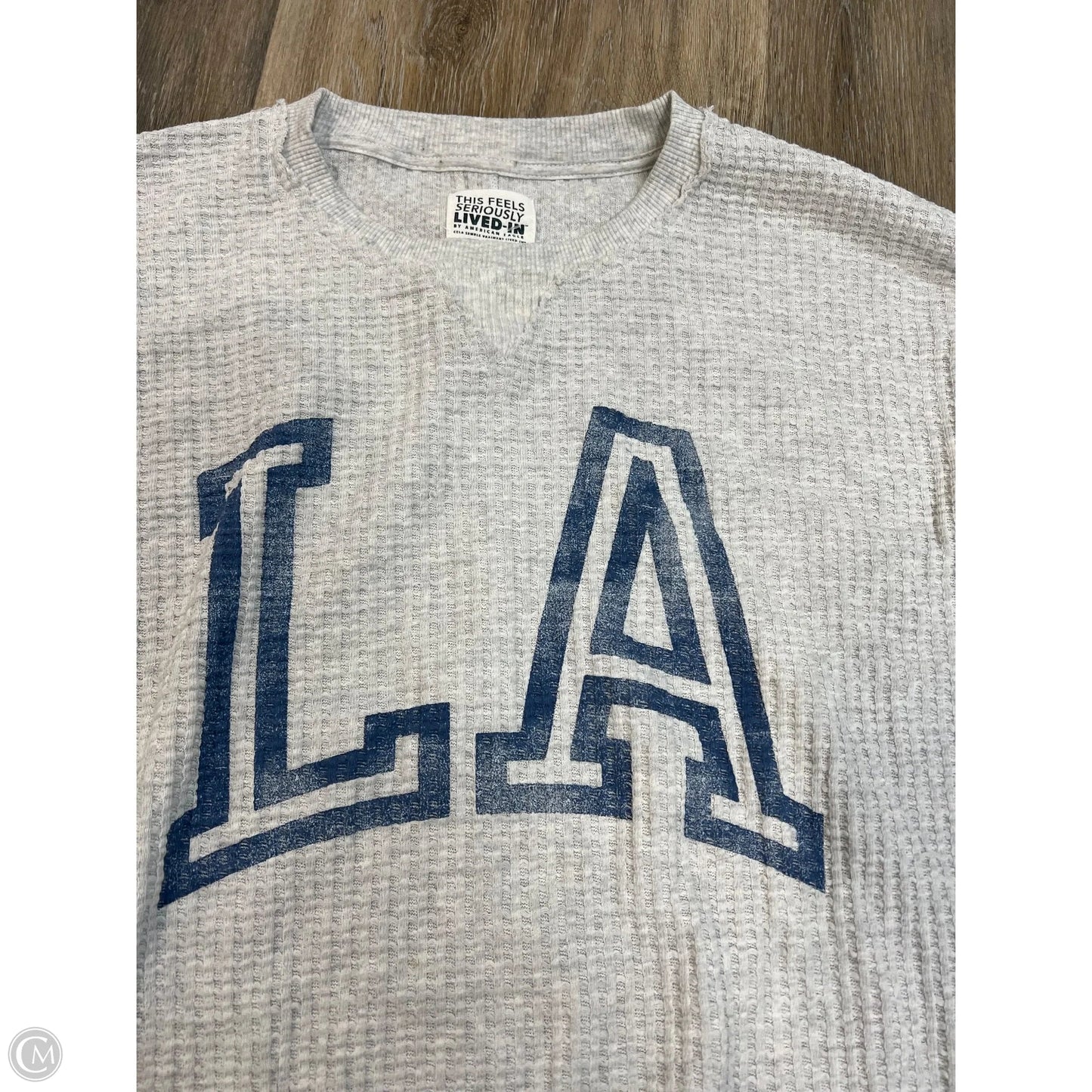 Top Long Sleeve By American Eagle In Grey, Size: L