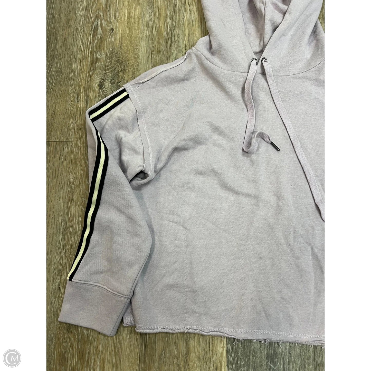 Sweatshirt Hoodie By Evereve In Purple, Size: M