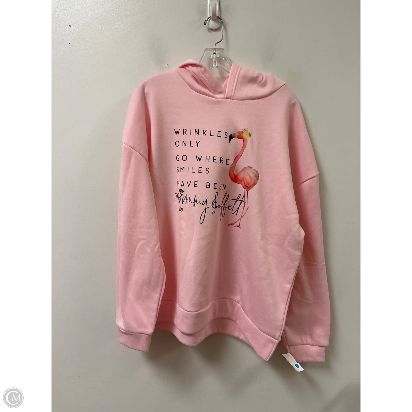 Sweatshirt Hoodie By Clothes Mentor In Pink, Size: 1x