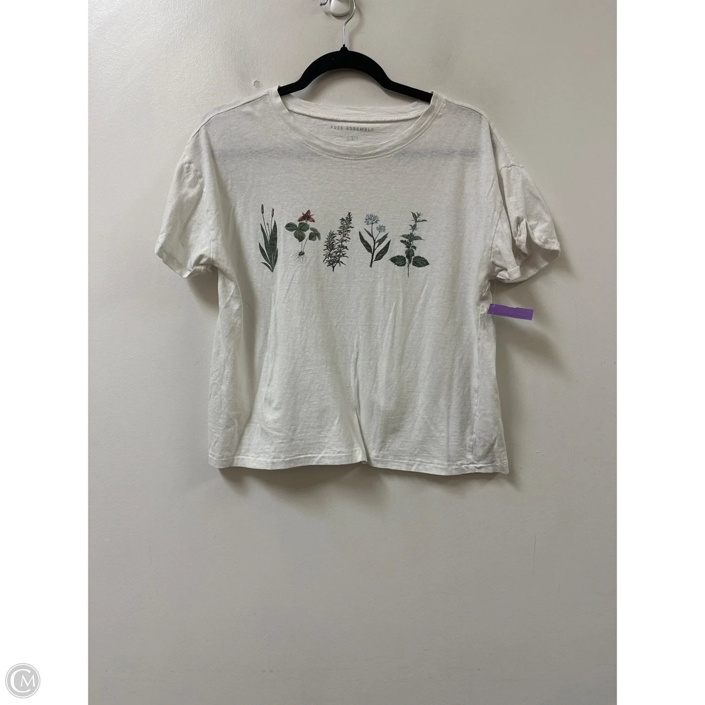 Top Short Sleeve By Free Assembly In White, Size: L