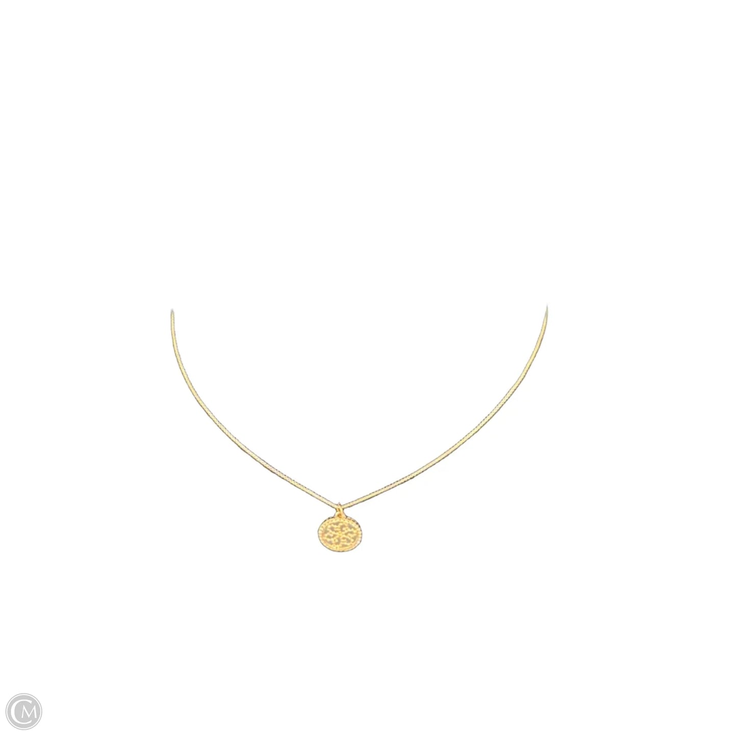 Necklace Pendant By Clothes Mentor