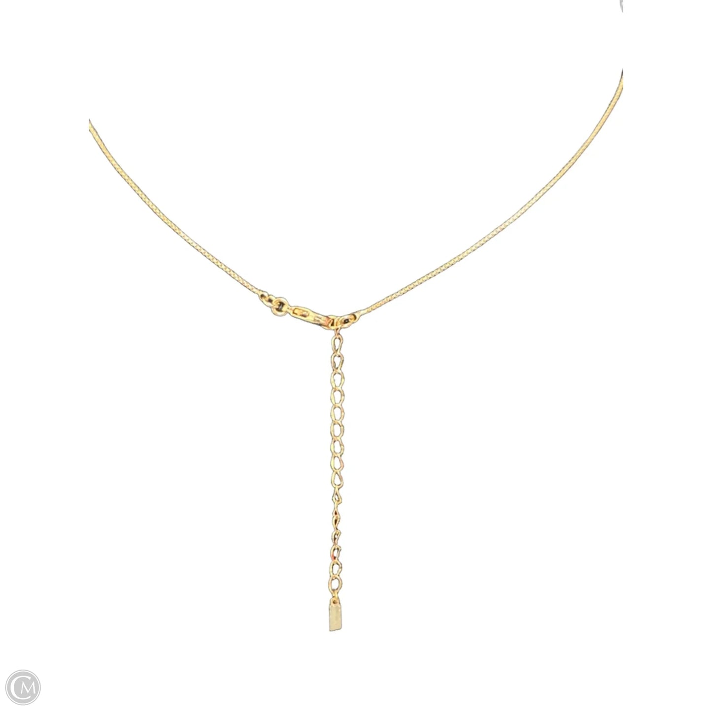 Necklace Pendant By Clothes Mentor