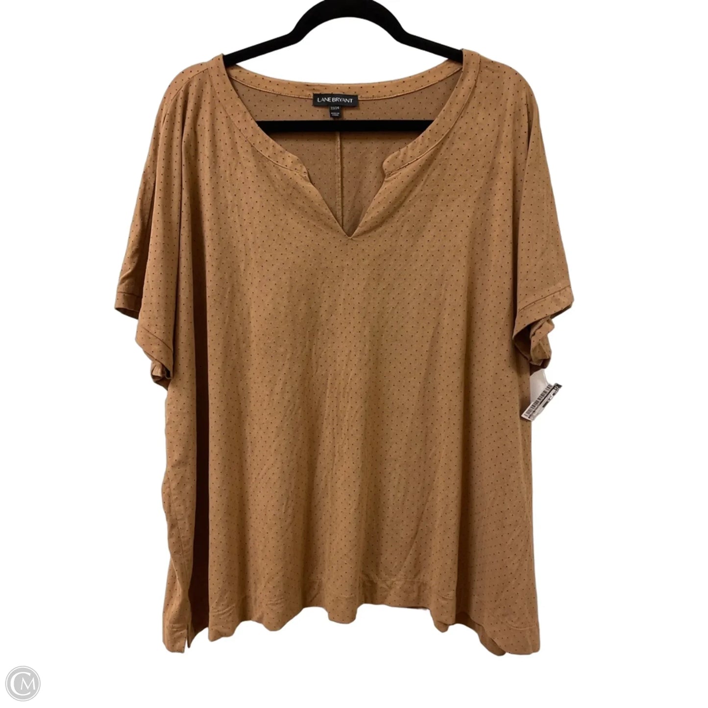 Top Short Sleeve By Lane Bryant In Tan, Size: 3x