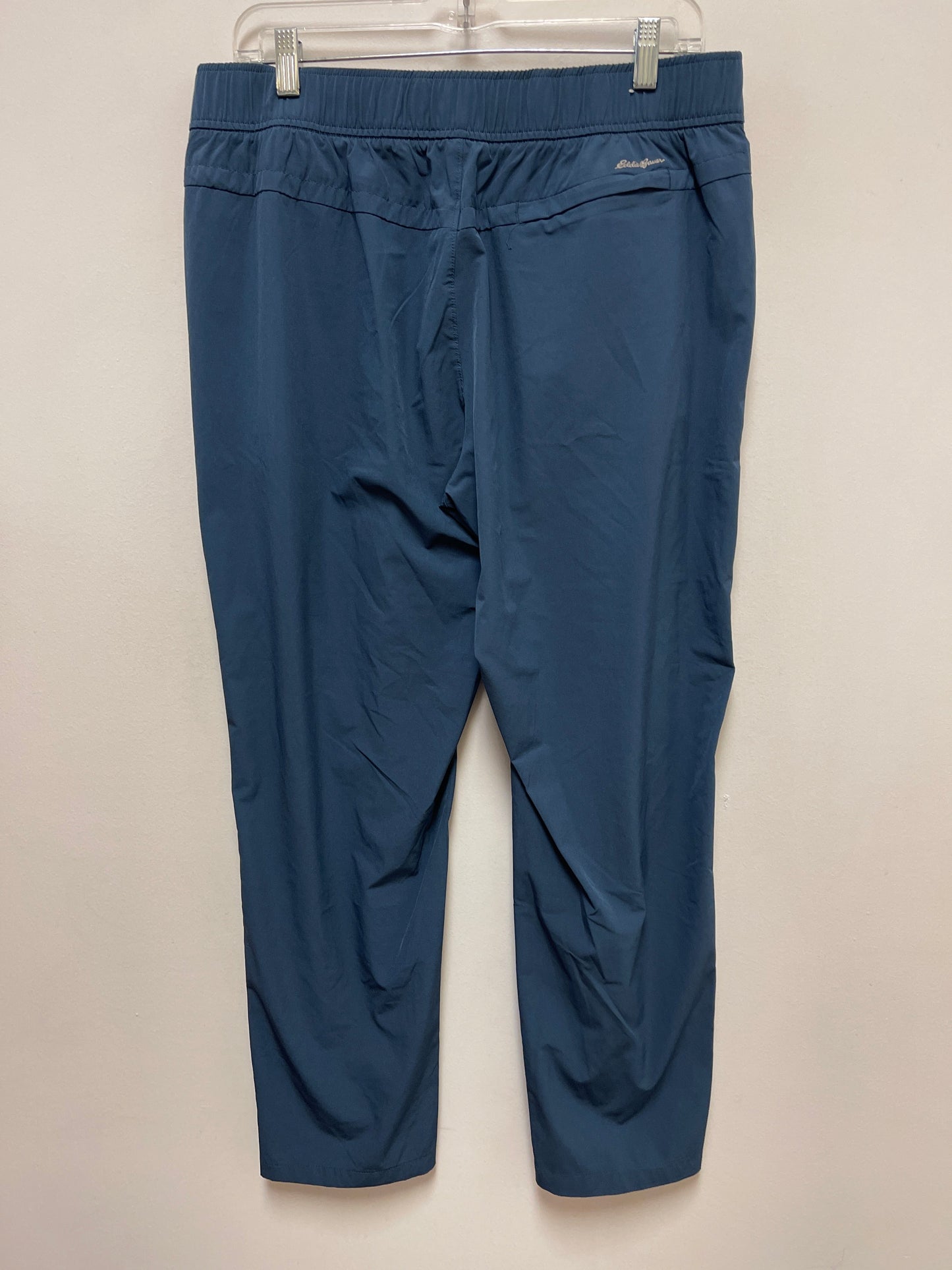 Athletic Pants By Eddie Bauer In Blue, Size: L