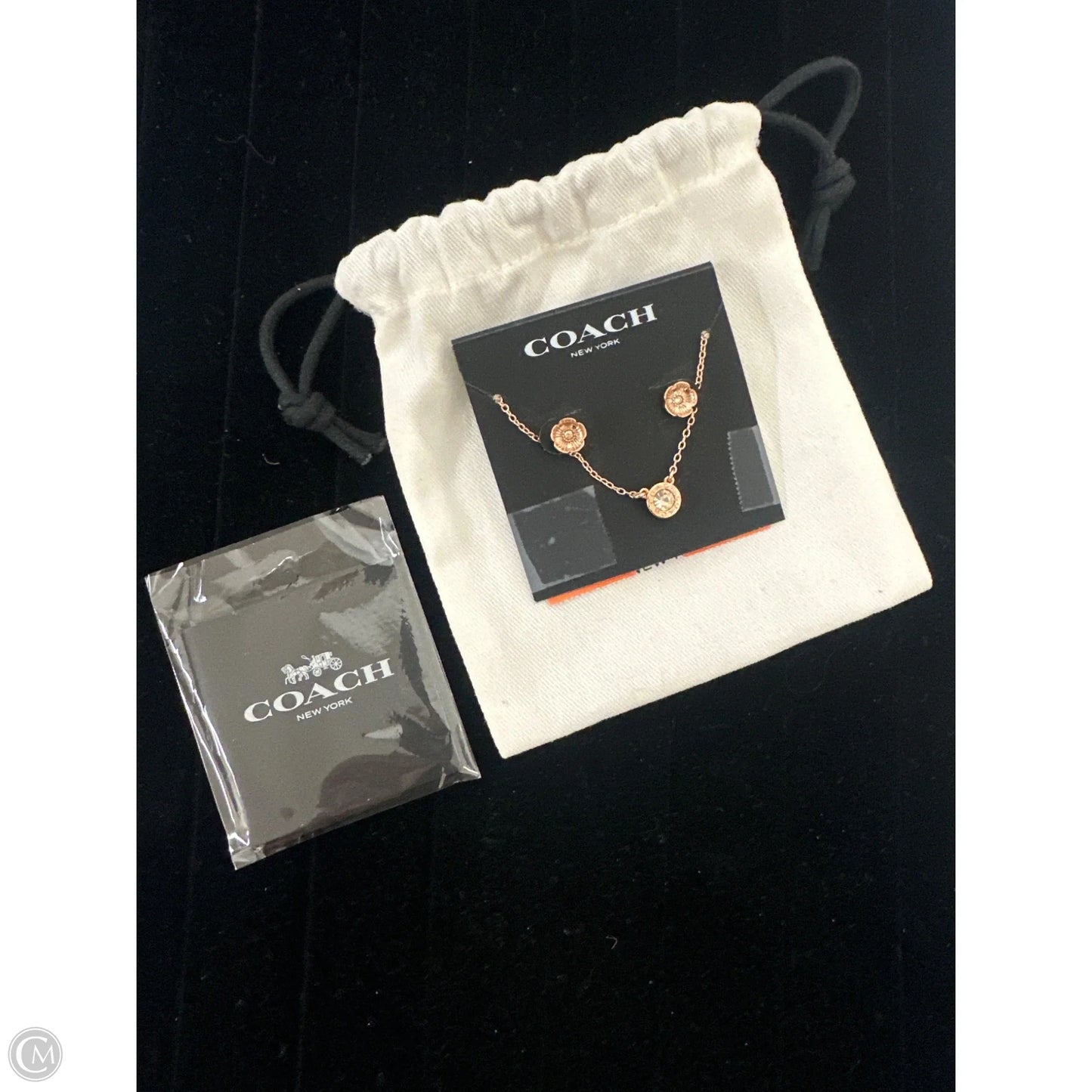 Accessory Designer Tag By Coach