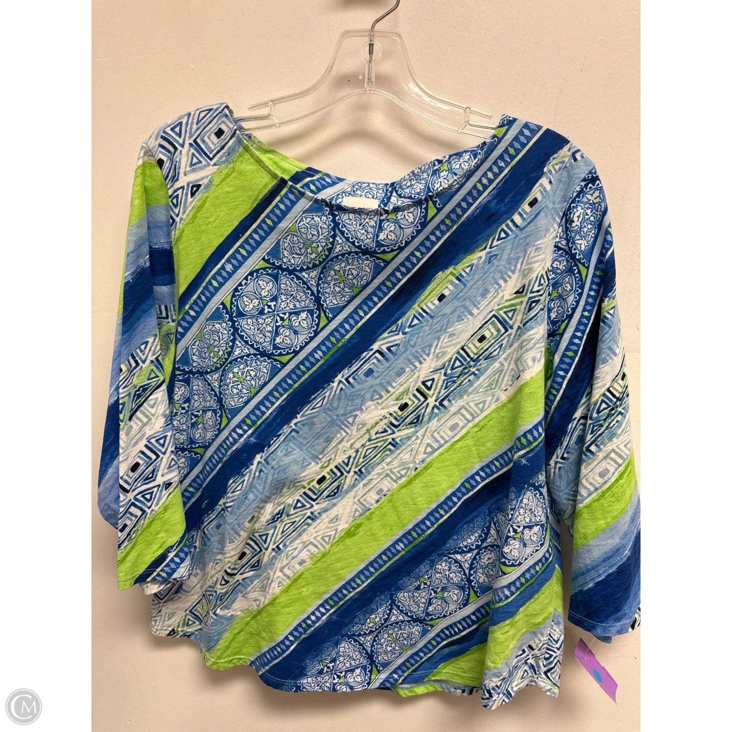 Top Long Sleeve By Chicos In Blue & Green, Size: L
