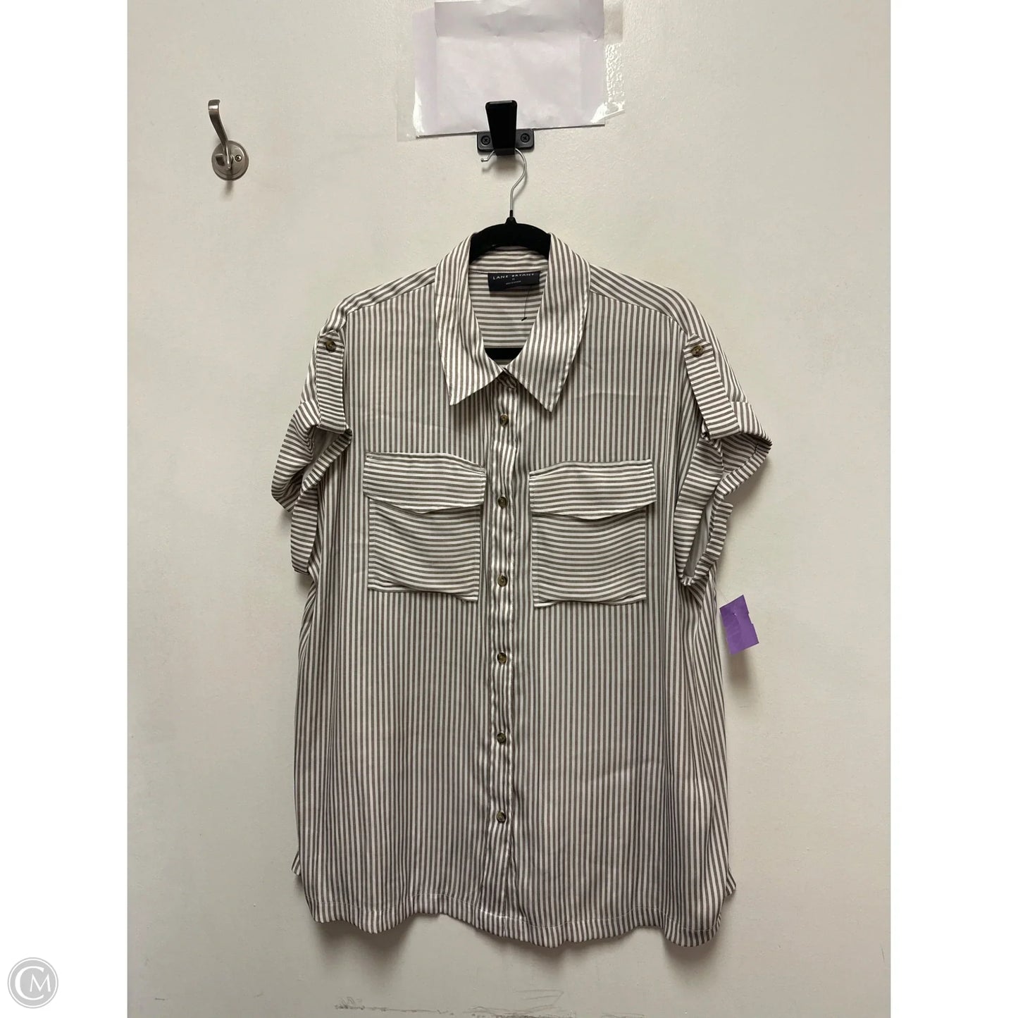 Blouse Short Sleeve By Lane Bryant In Bronze, Size: Xl