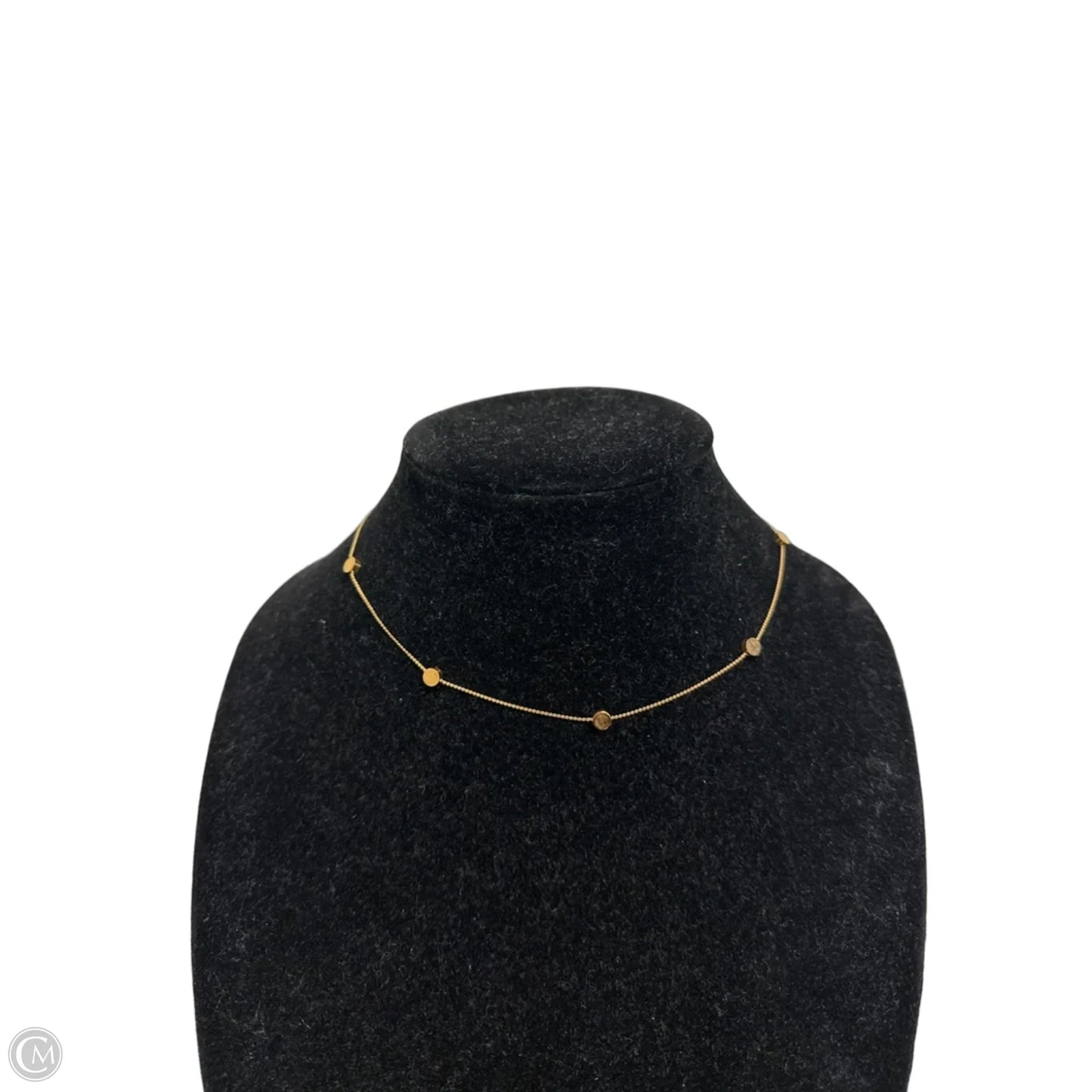 Necklace Chain By Clothes Mentor