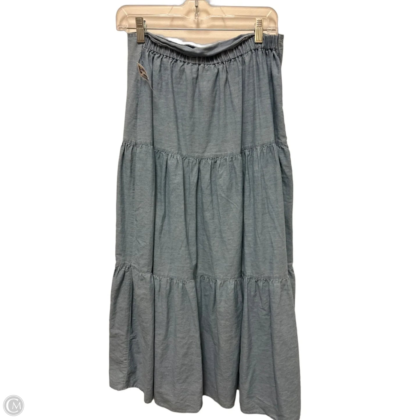 Skirt Maxi By Passport In Blue, Size: 12