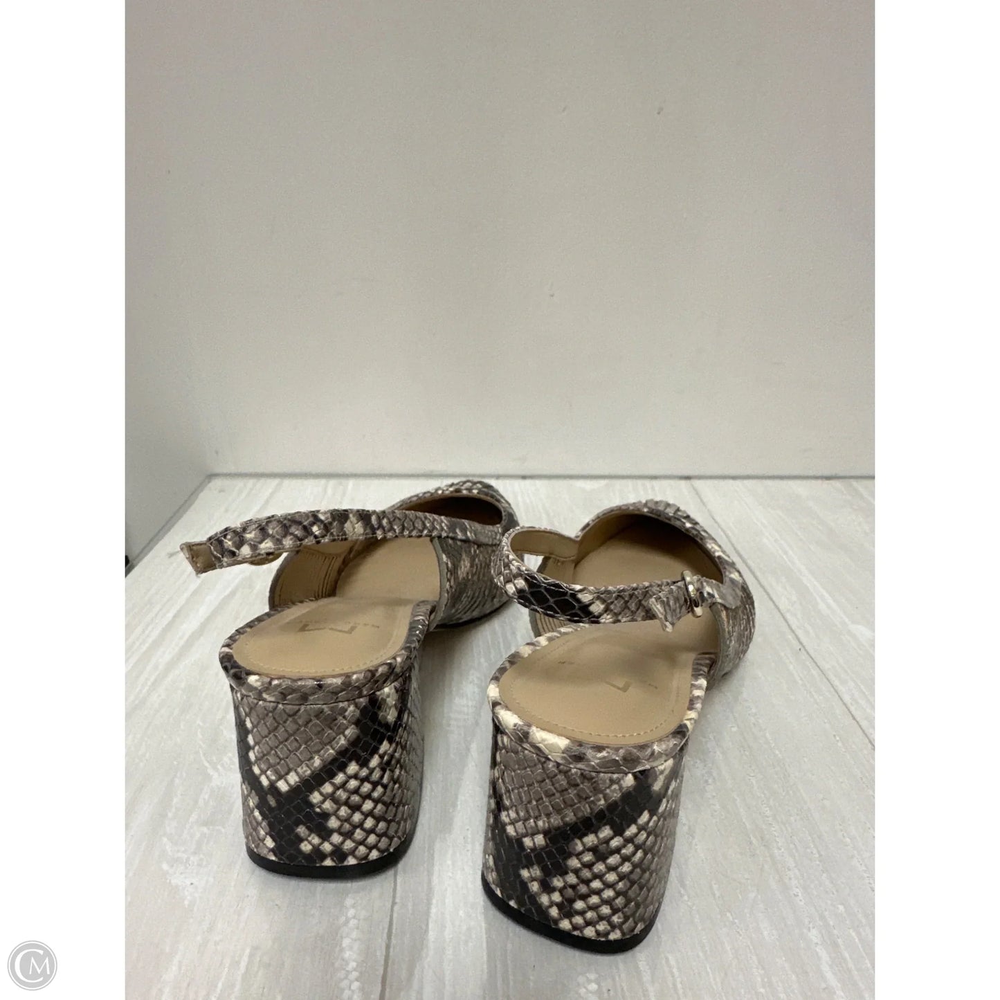 Shoes Heels Block By Marc Fisher In Snakeskin Print, Size: 8