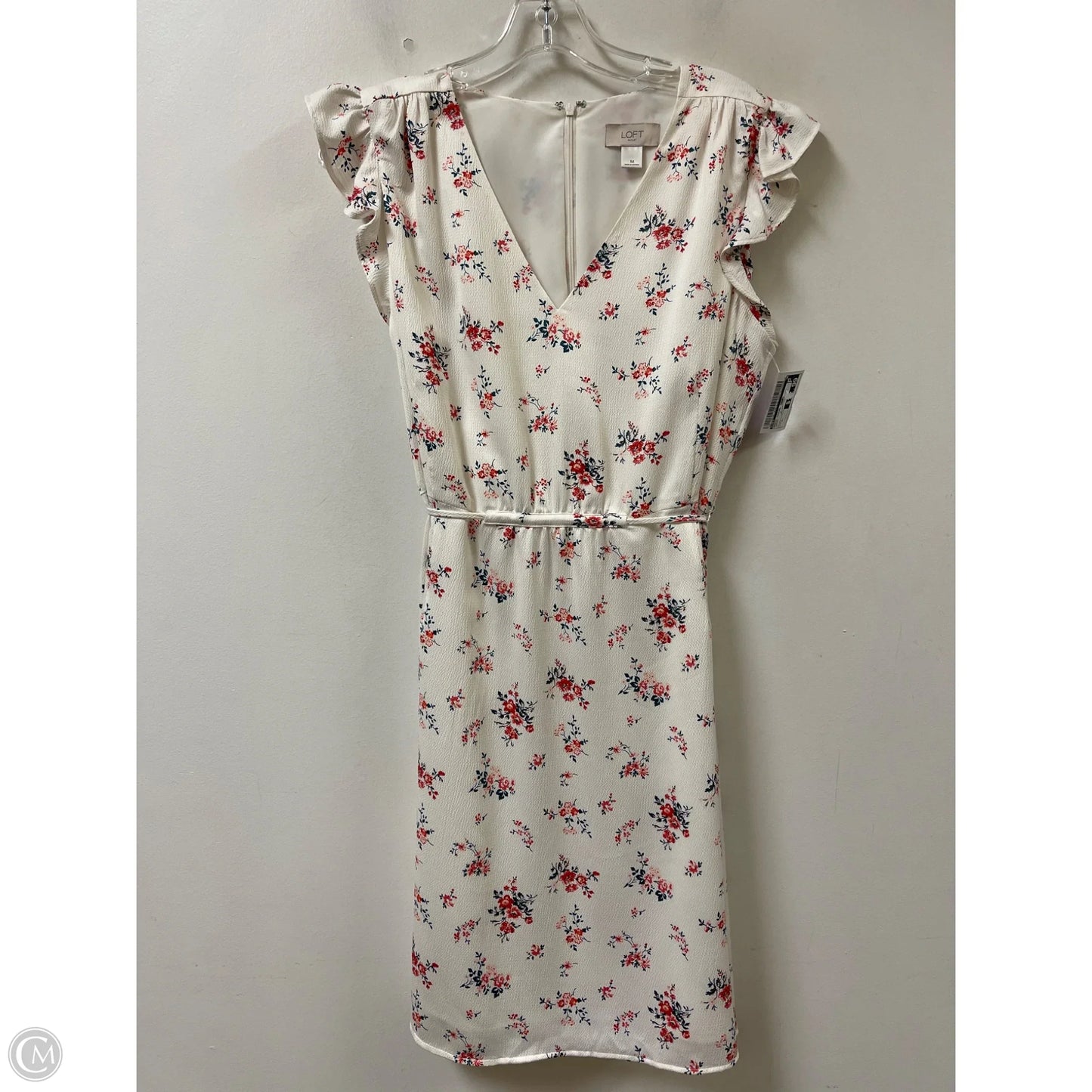 Dress Casual Short By Loft In Cream, Size: L