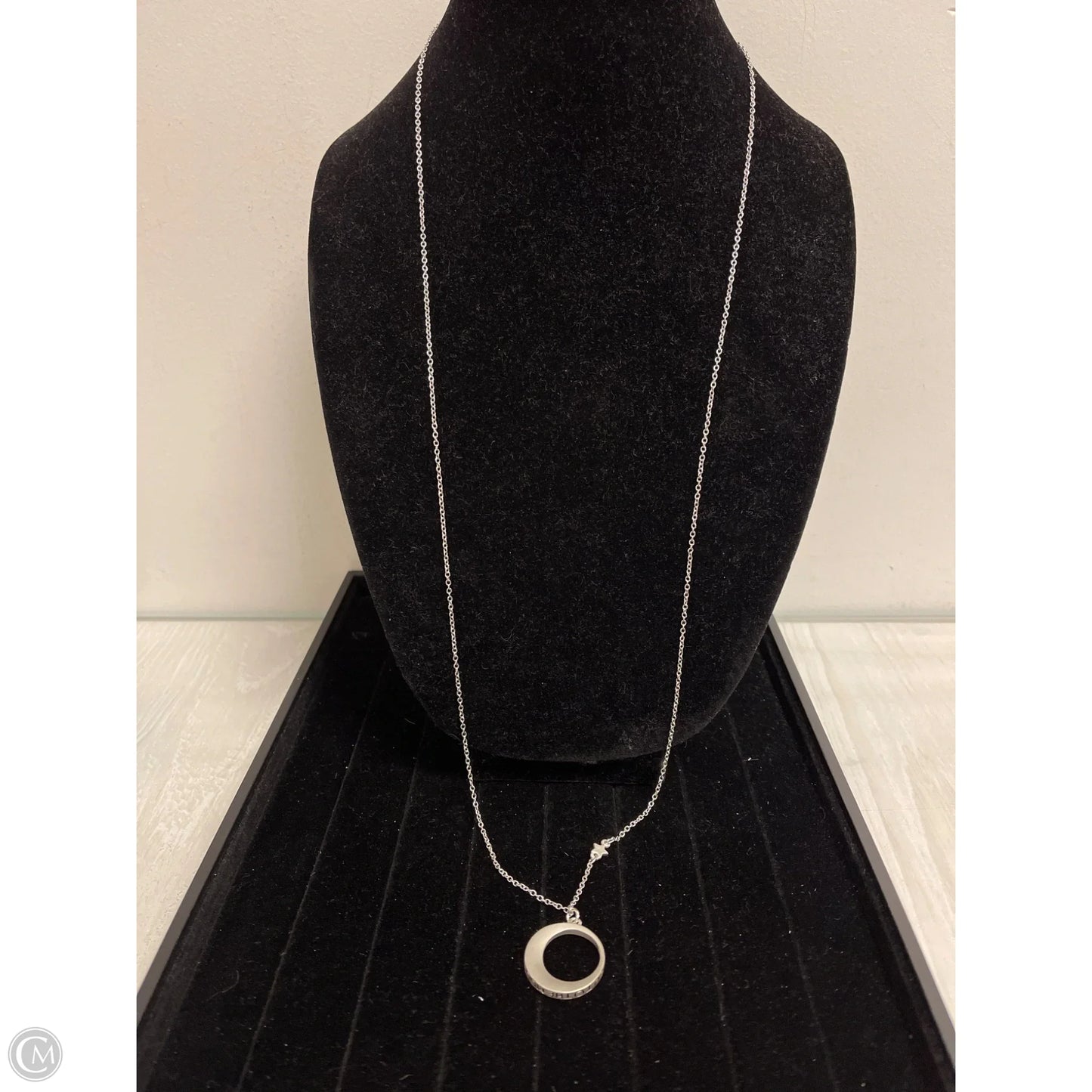 Necklace Pendant By Clothes Mentor