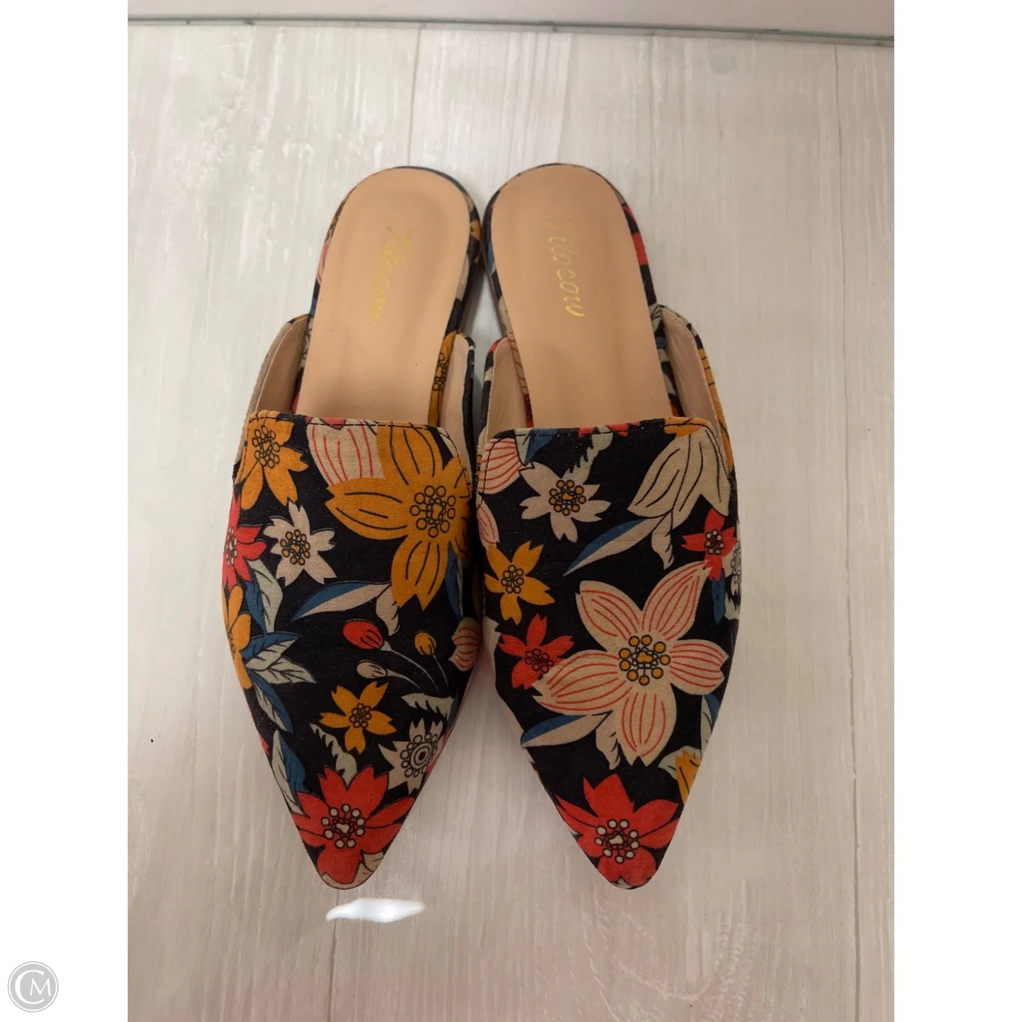 Sandals Flats By Clothes Mentor In Floral Print, Size: 6.5