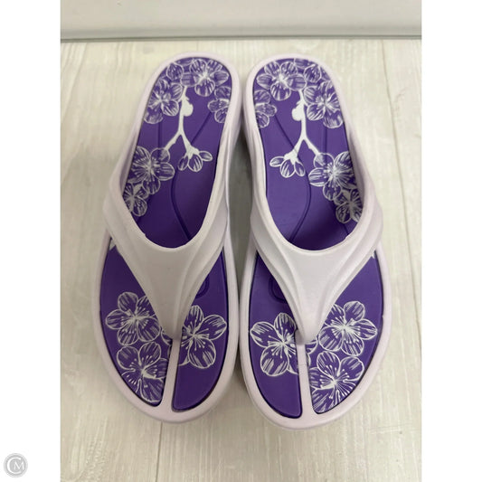 Sandals Flip Flops By Clothes Mentor In White, Size: 8.5