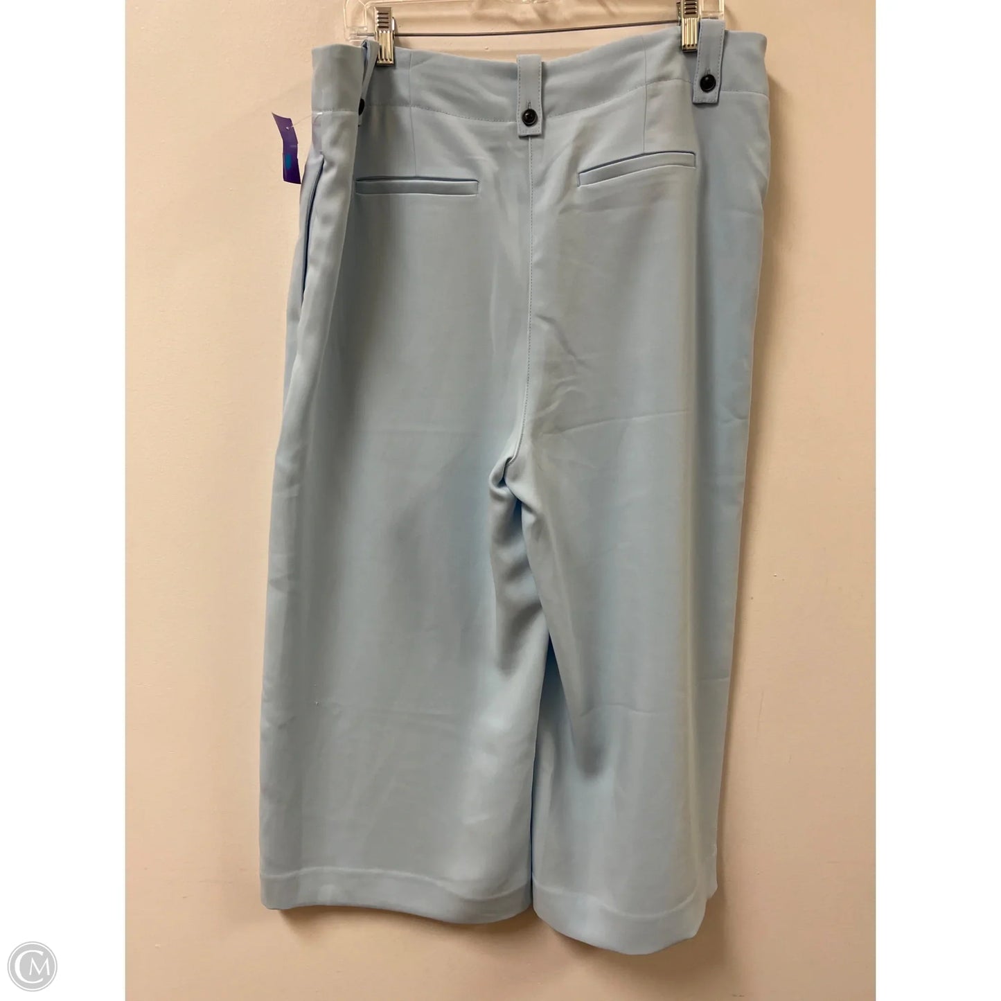 Pants Wide Leg By Chicos In Blue, Size: 14
