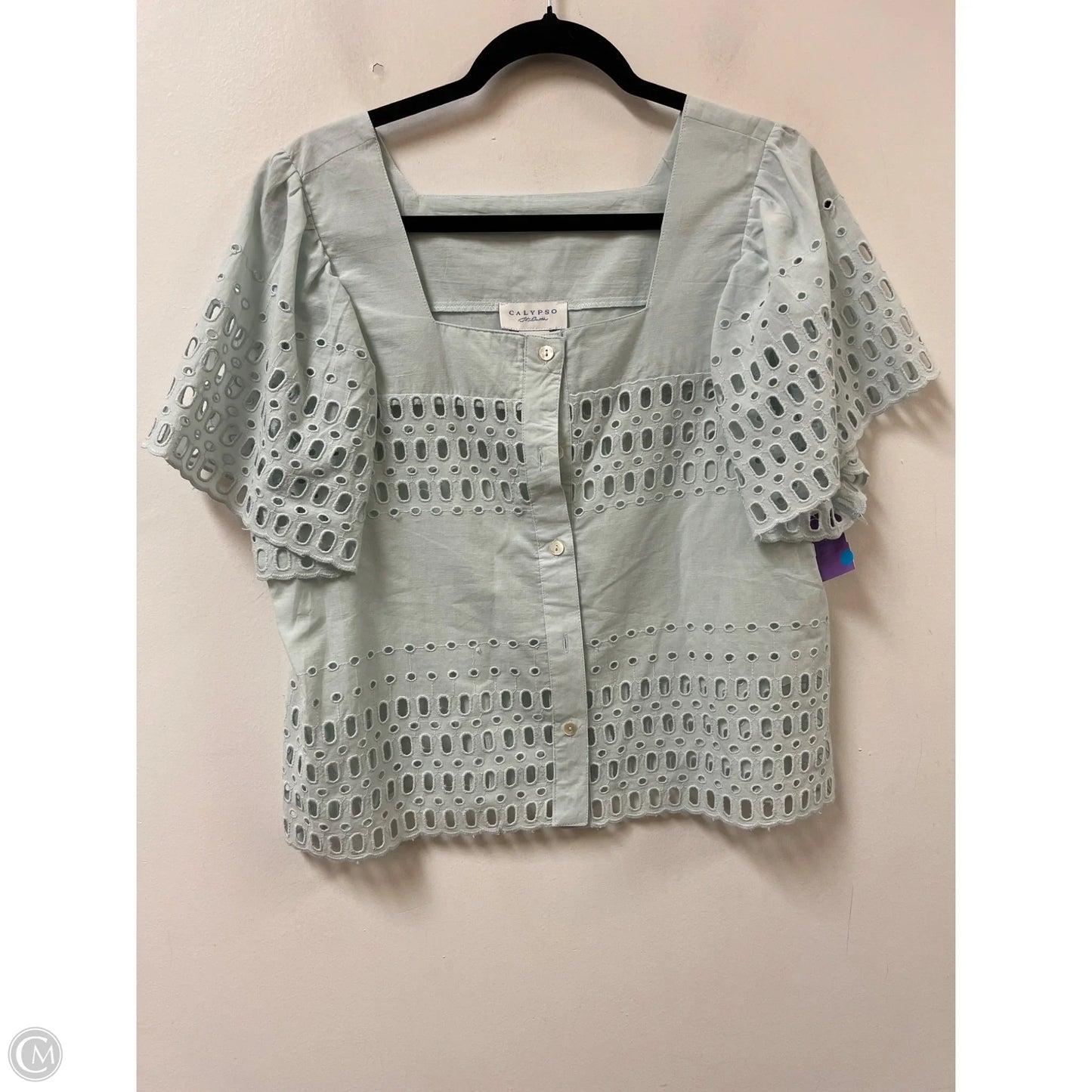Blouse Short Sleeve By Calypso St Barth In Blue, Size: M