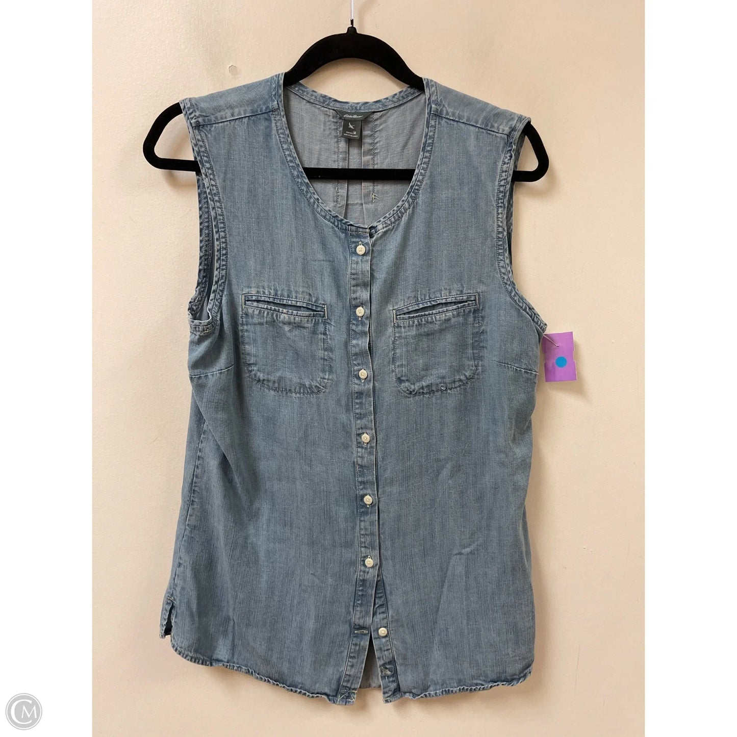 Blouse Sleeveless By Eddie Bauer In Blue, Size: M