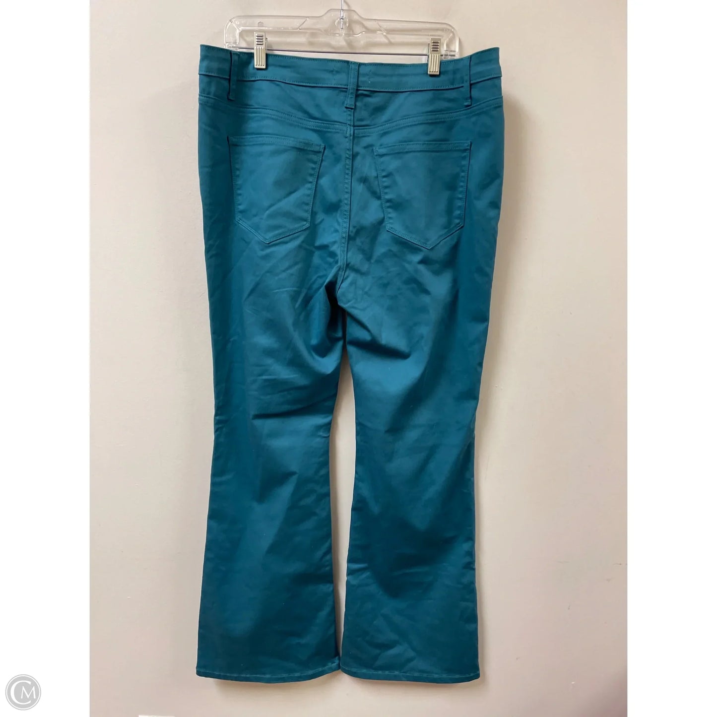 Pants Other By Zenana In Teal, Size: 18