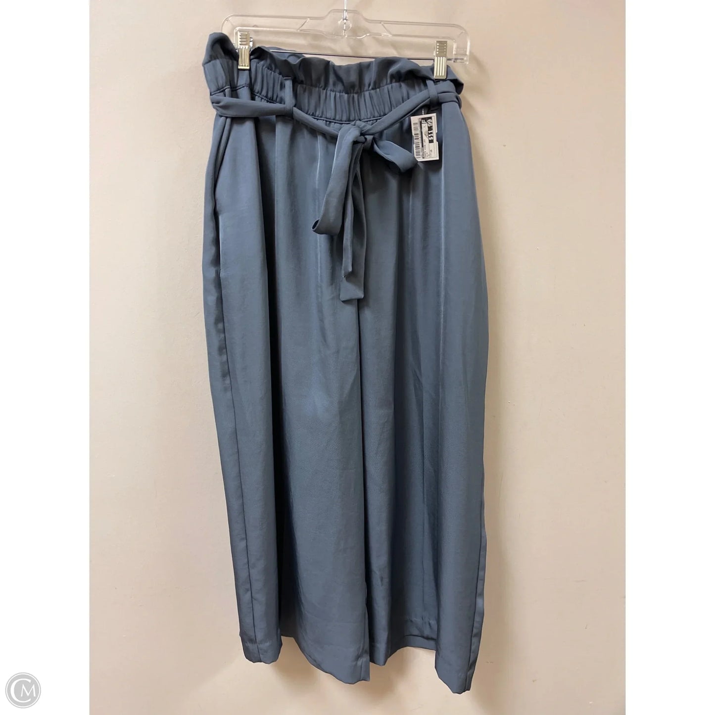 Pants Wide Leg By Express In Blue, Size: 16