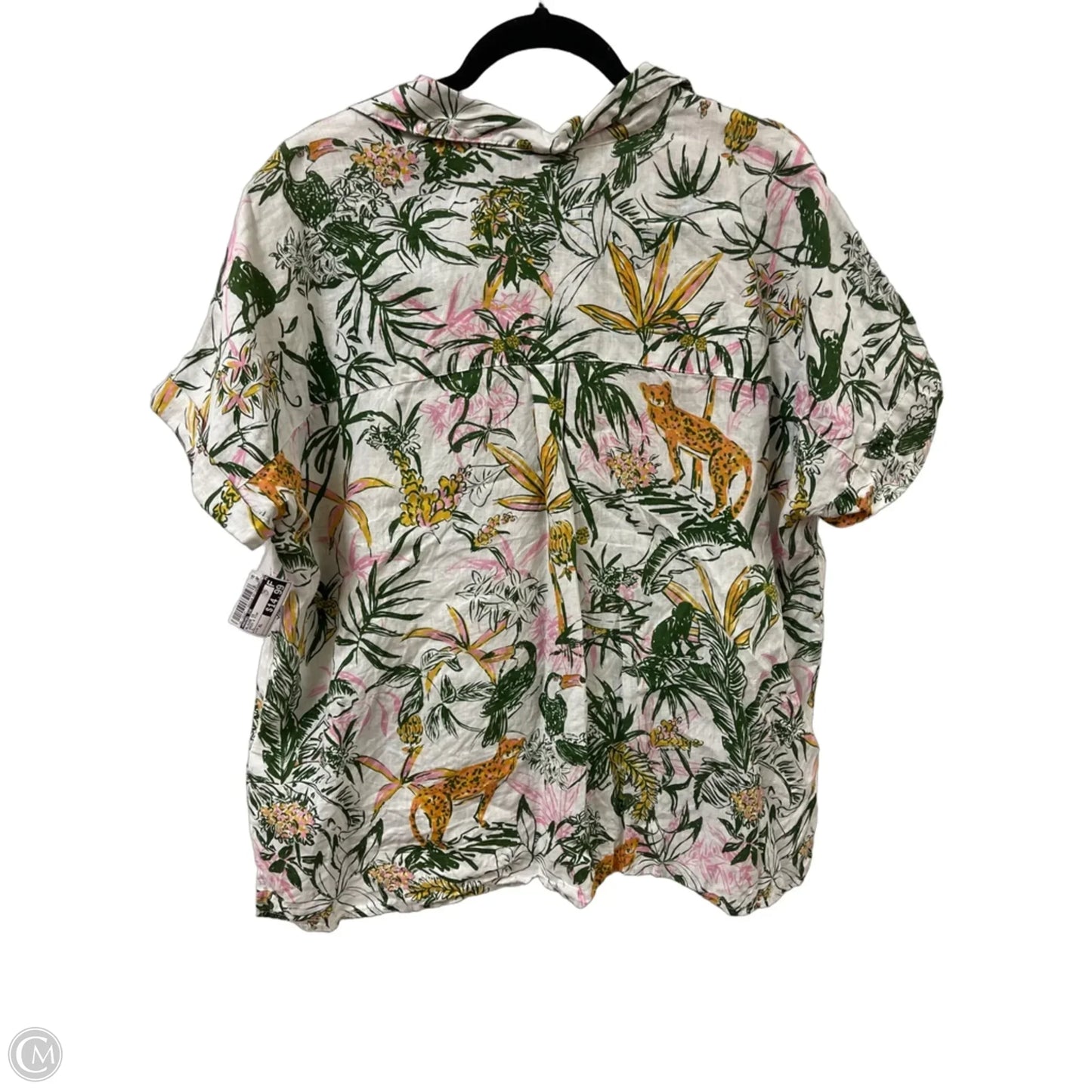 Blouse Short Sleeve By Rachel Zoe In Green & Pink, Size: Xl