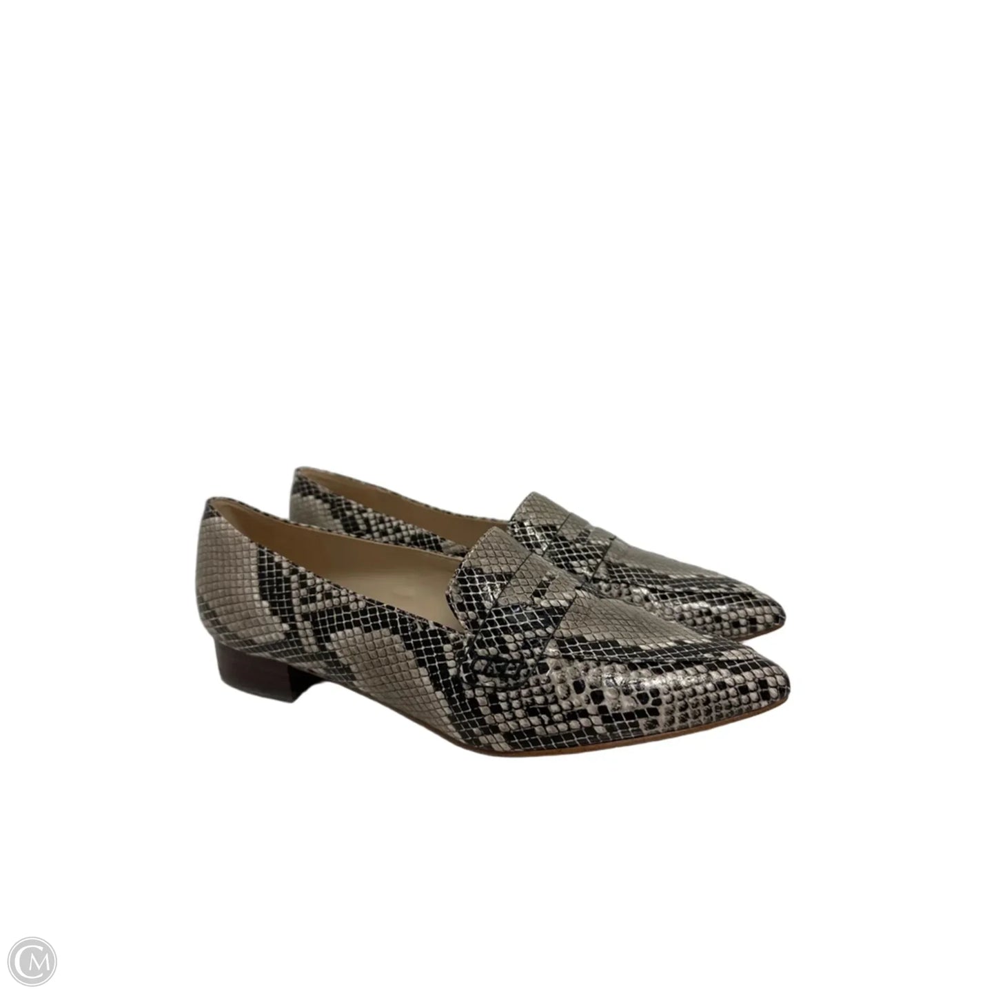 Shoes Flats By Marc Fisher In Snakeskin Print, Size: 9