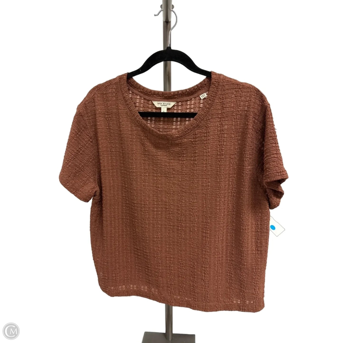 Top Short Sleeve By Max Studio In Brown, Size: L