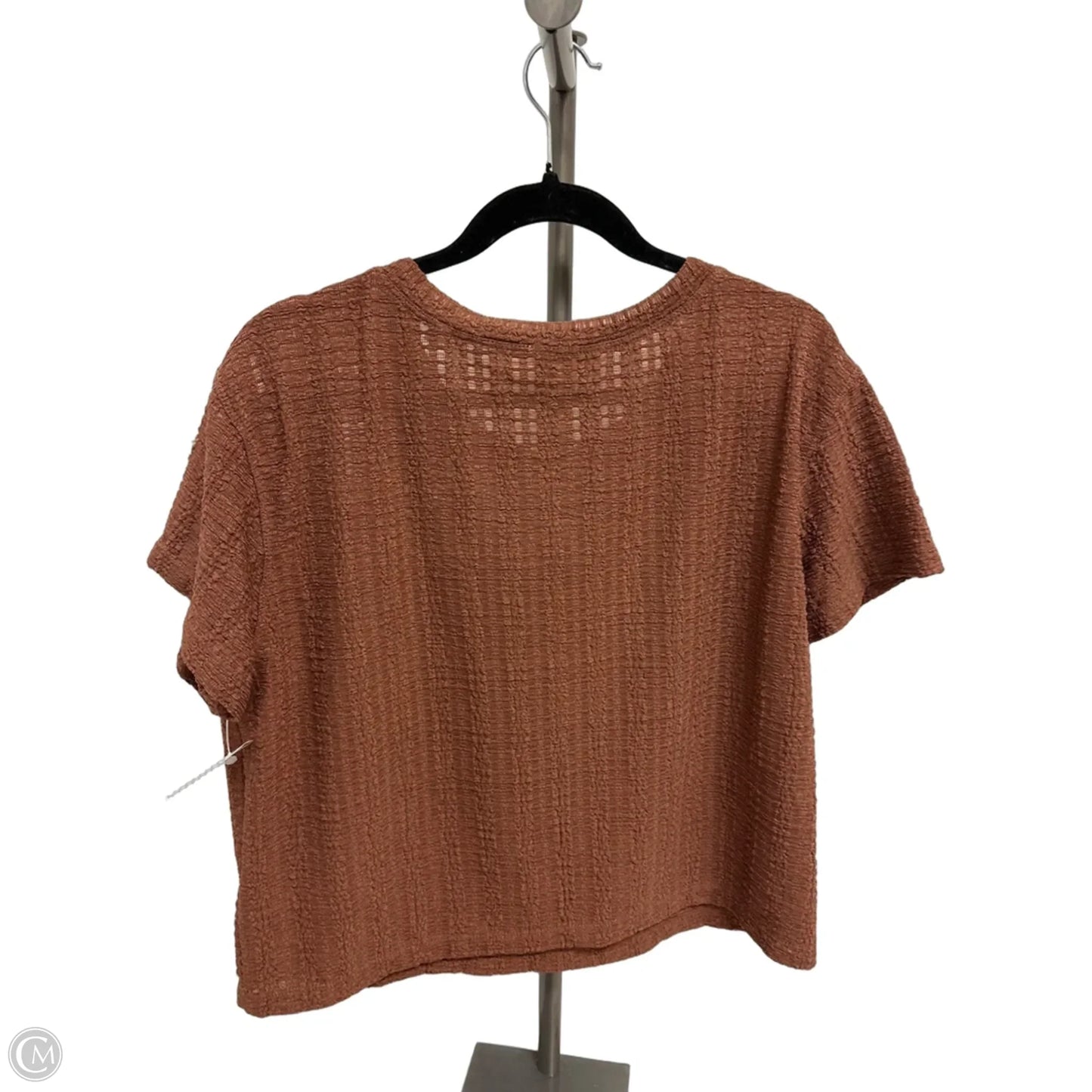 Top Short Sleeve By Max Studio In Brown, Size: L