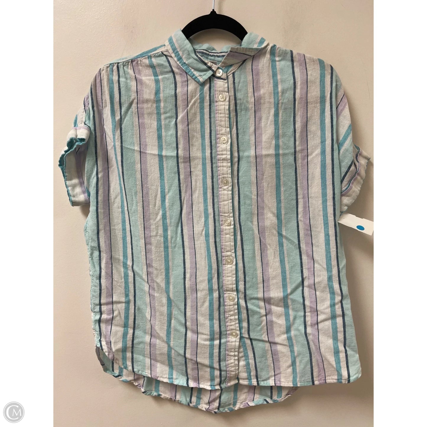 Blouse Short Sleeve By Time And Tru In Blue & White, Size: S