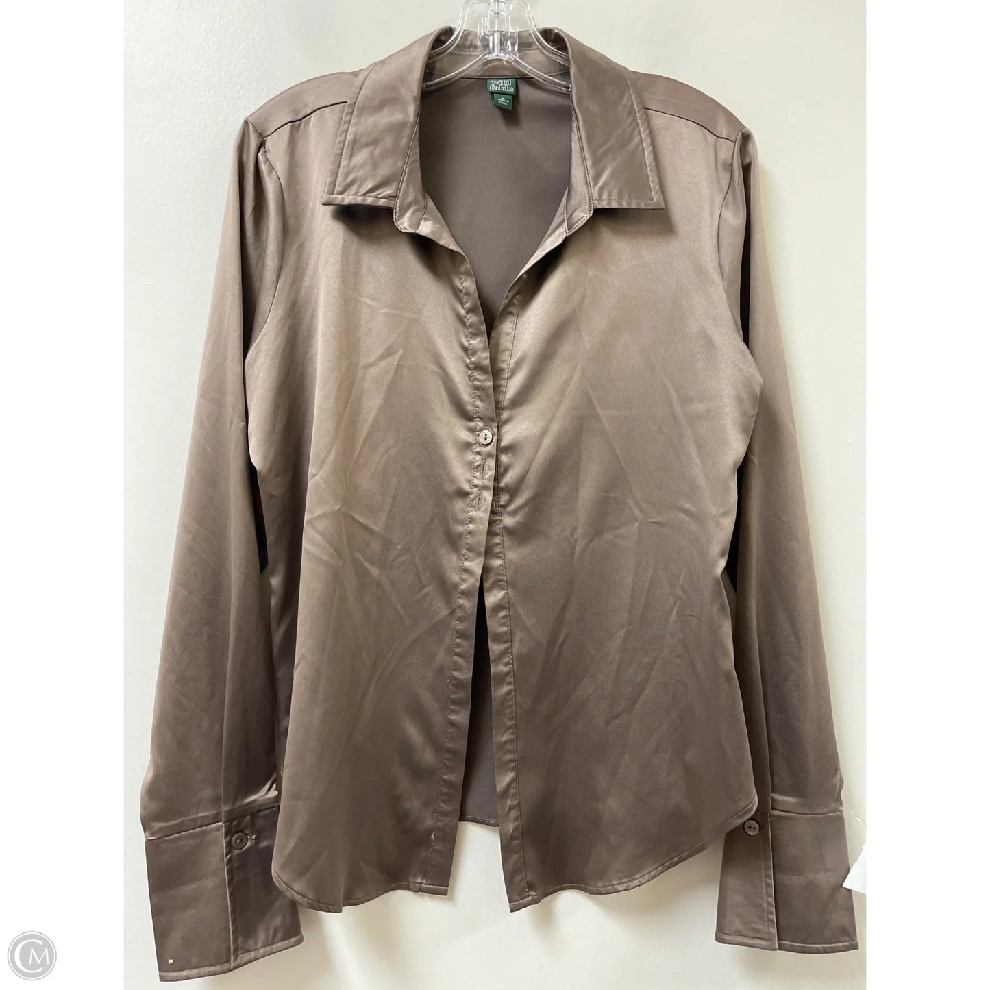 Blouse Long Sleeve By Wild Fable In Brown, Size: L