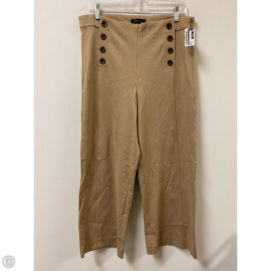Pants Other By Ann Taylor In Brown, Size: 12