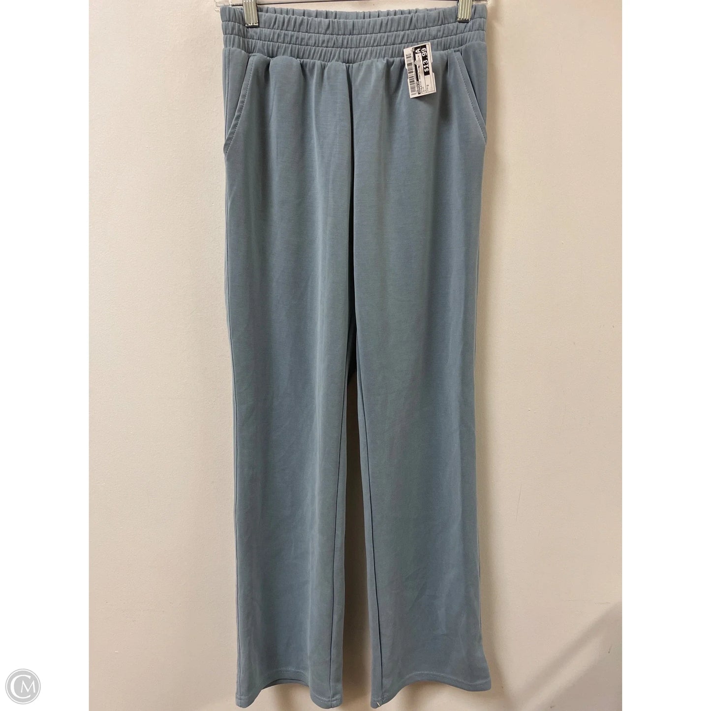 Athletic Pants By Danskin In Blue, Size: S