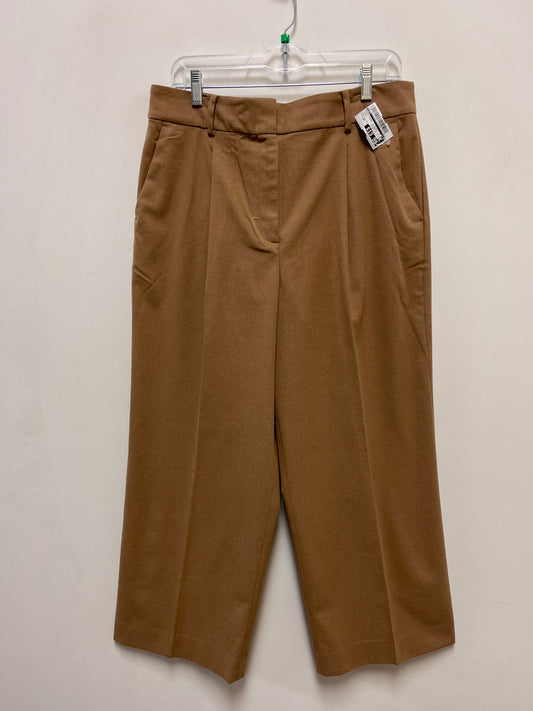 Pants Other By Loft In Brown, Size: 12p