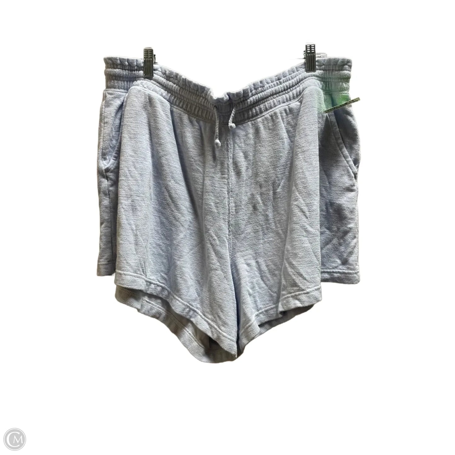Shorts By Aerie In Blue, Size: 2x